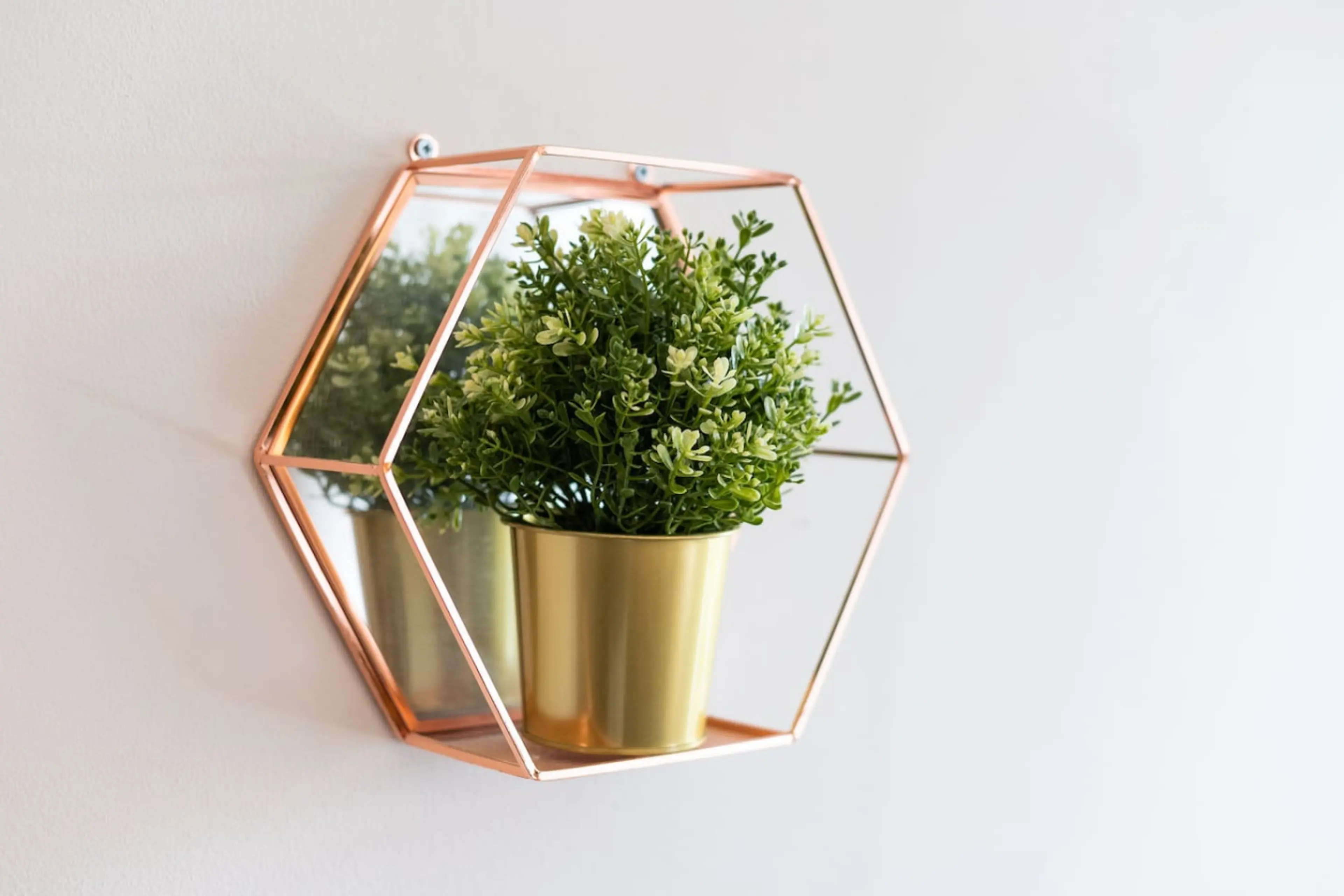 2 Tirpenry Street - Image 14