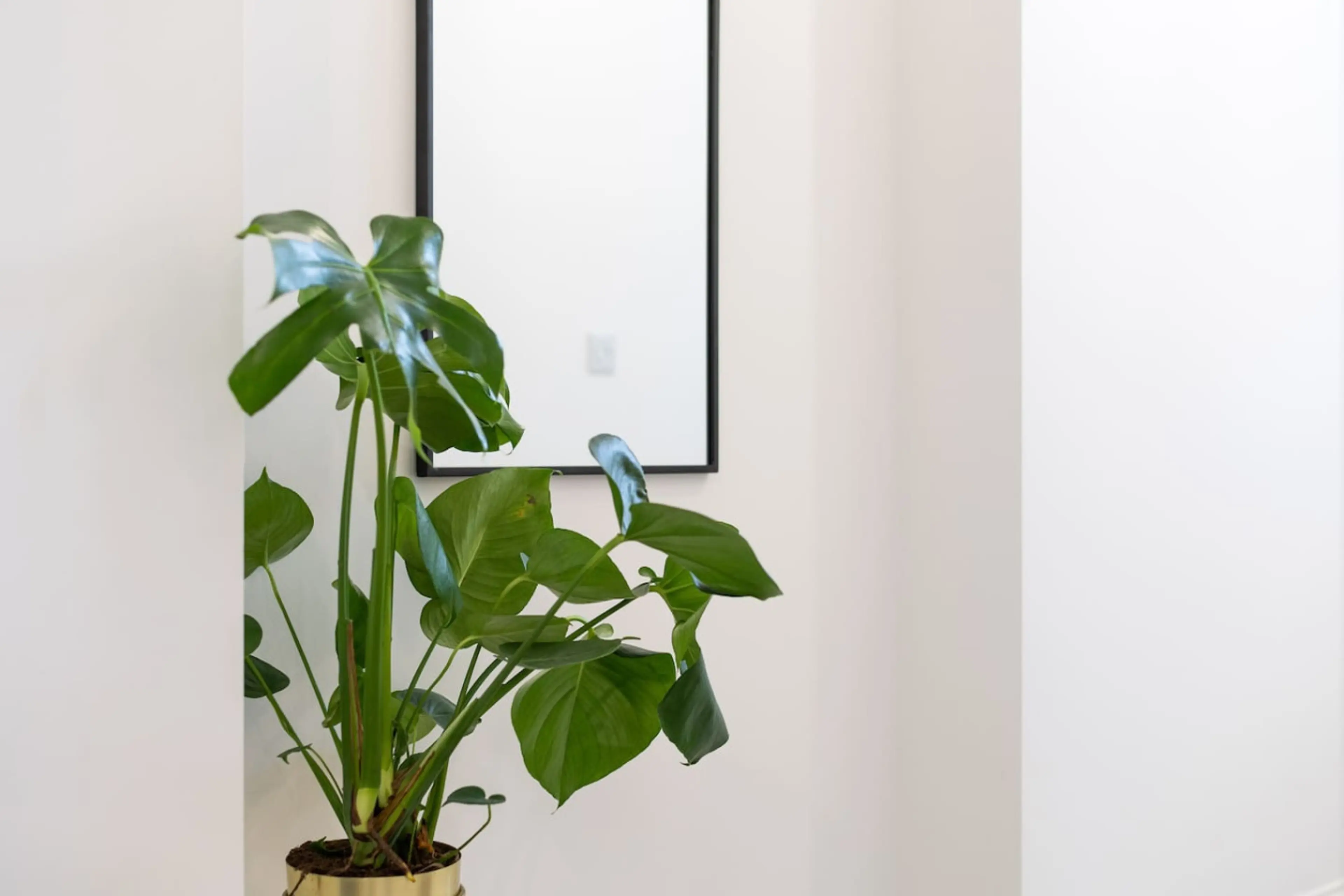 54 Caemawr Road - Image 33