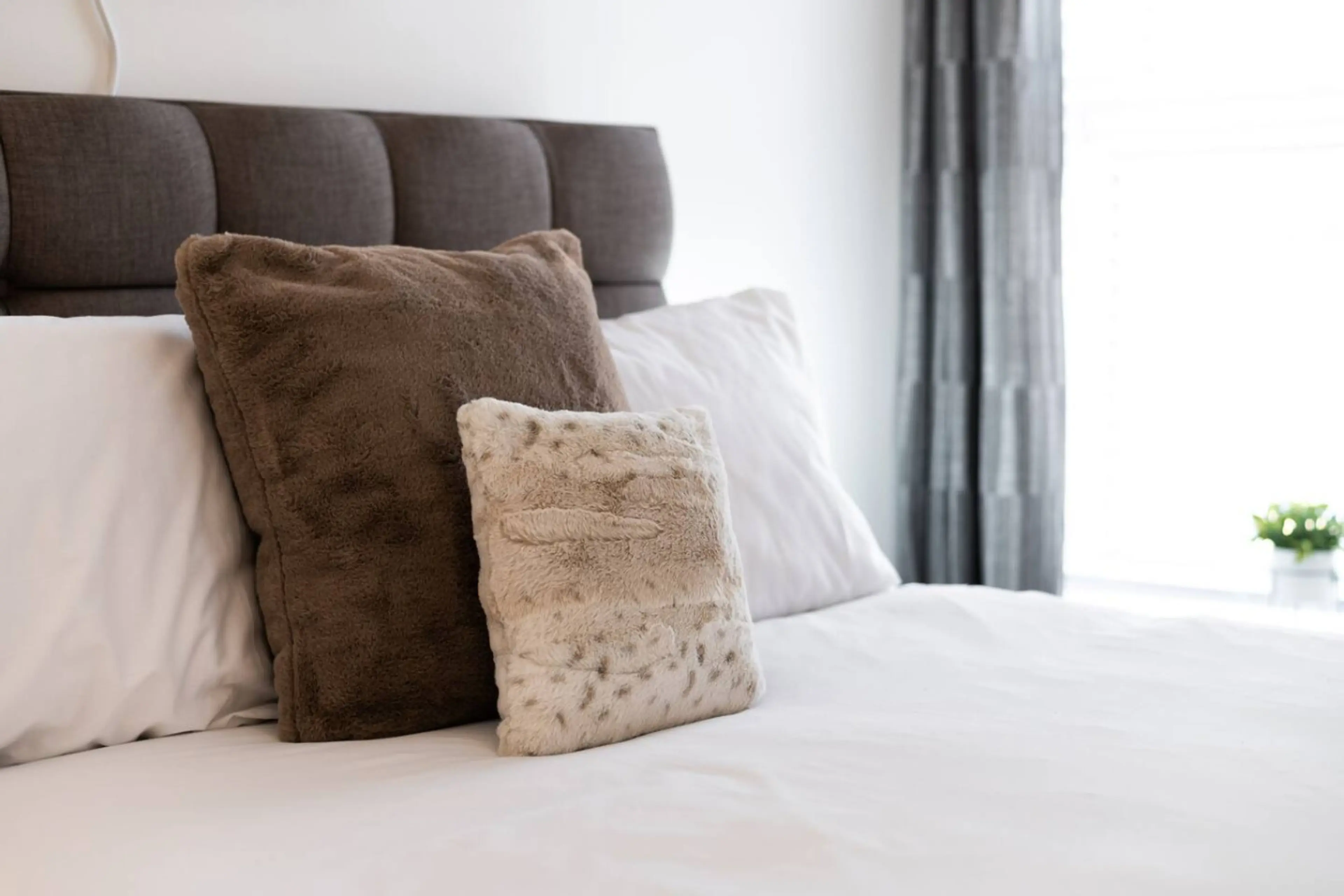 54 Caemawr Road - Image 22