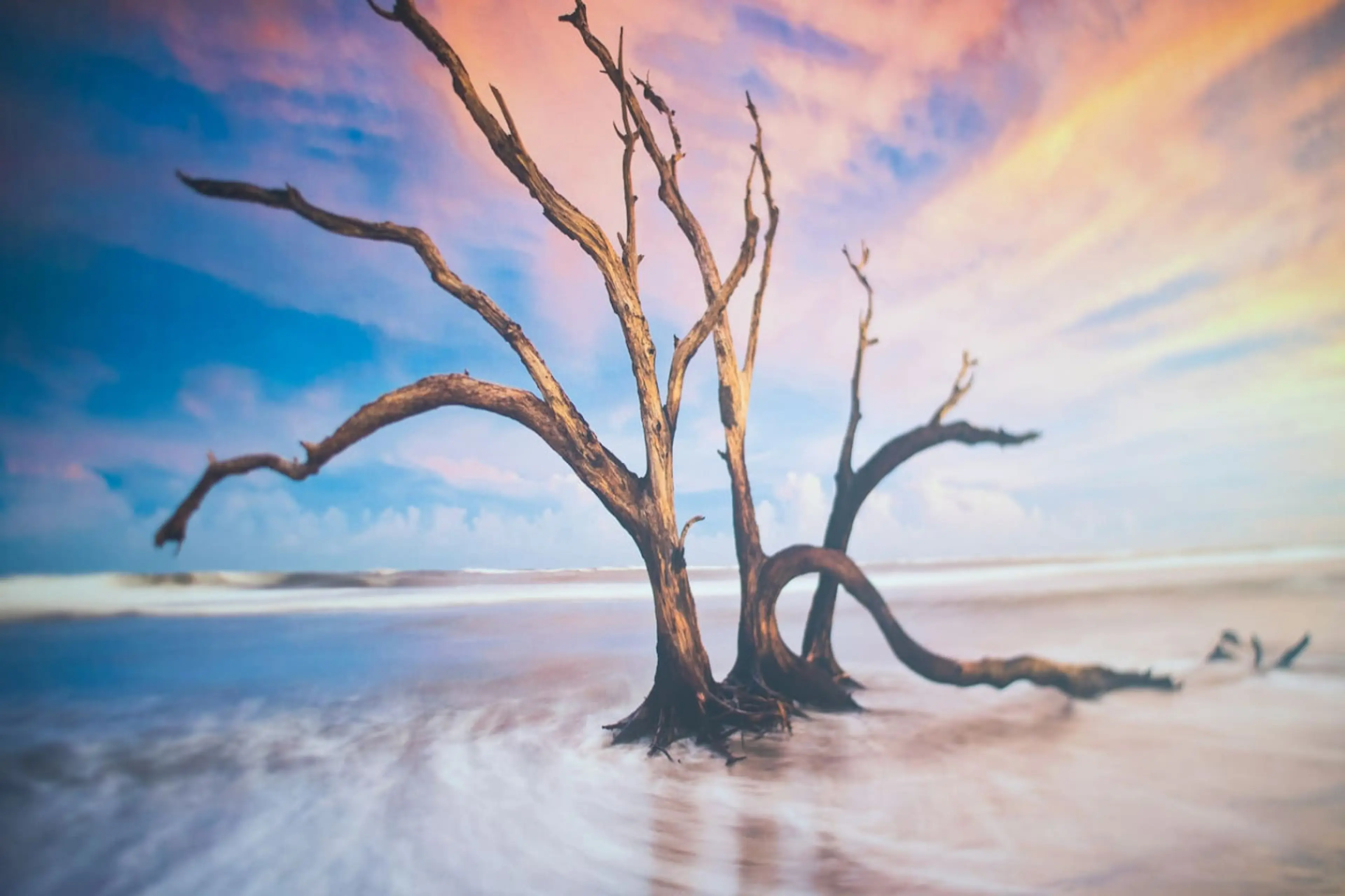 Flat 10 - 150 Neath Road - Image 37