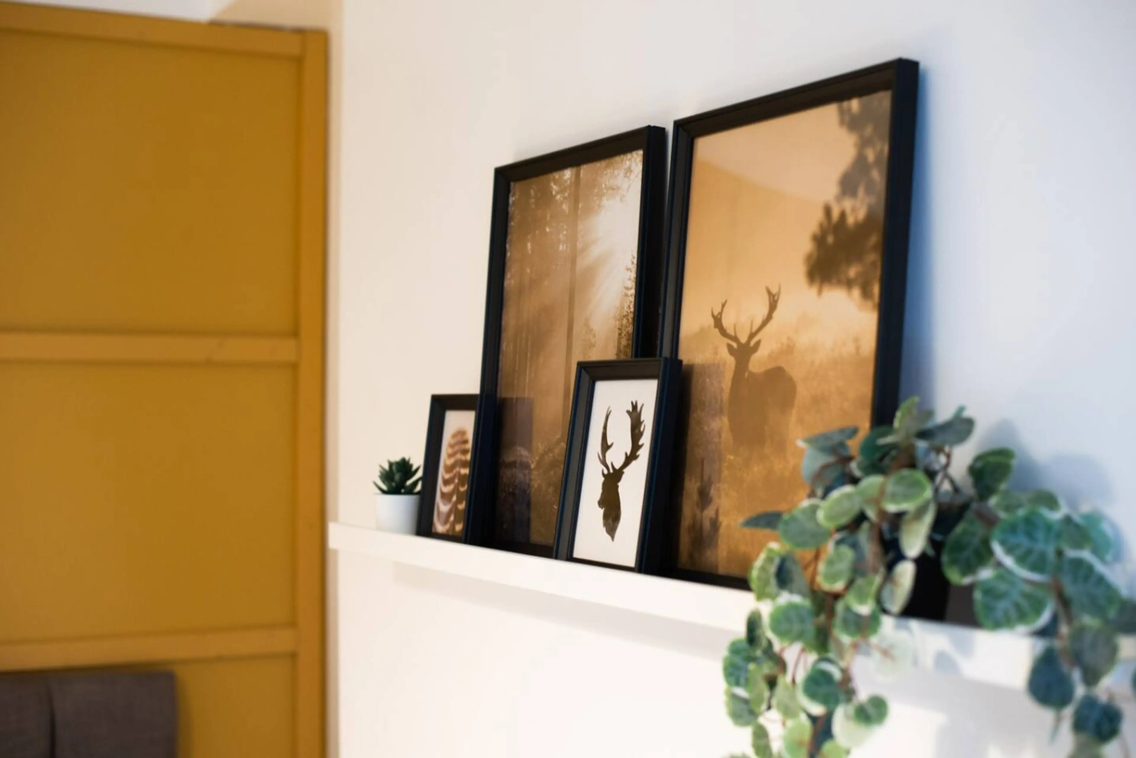 53 NorthHill Rd - Image 13