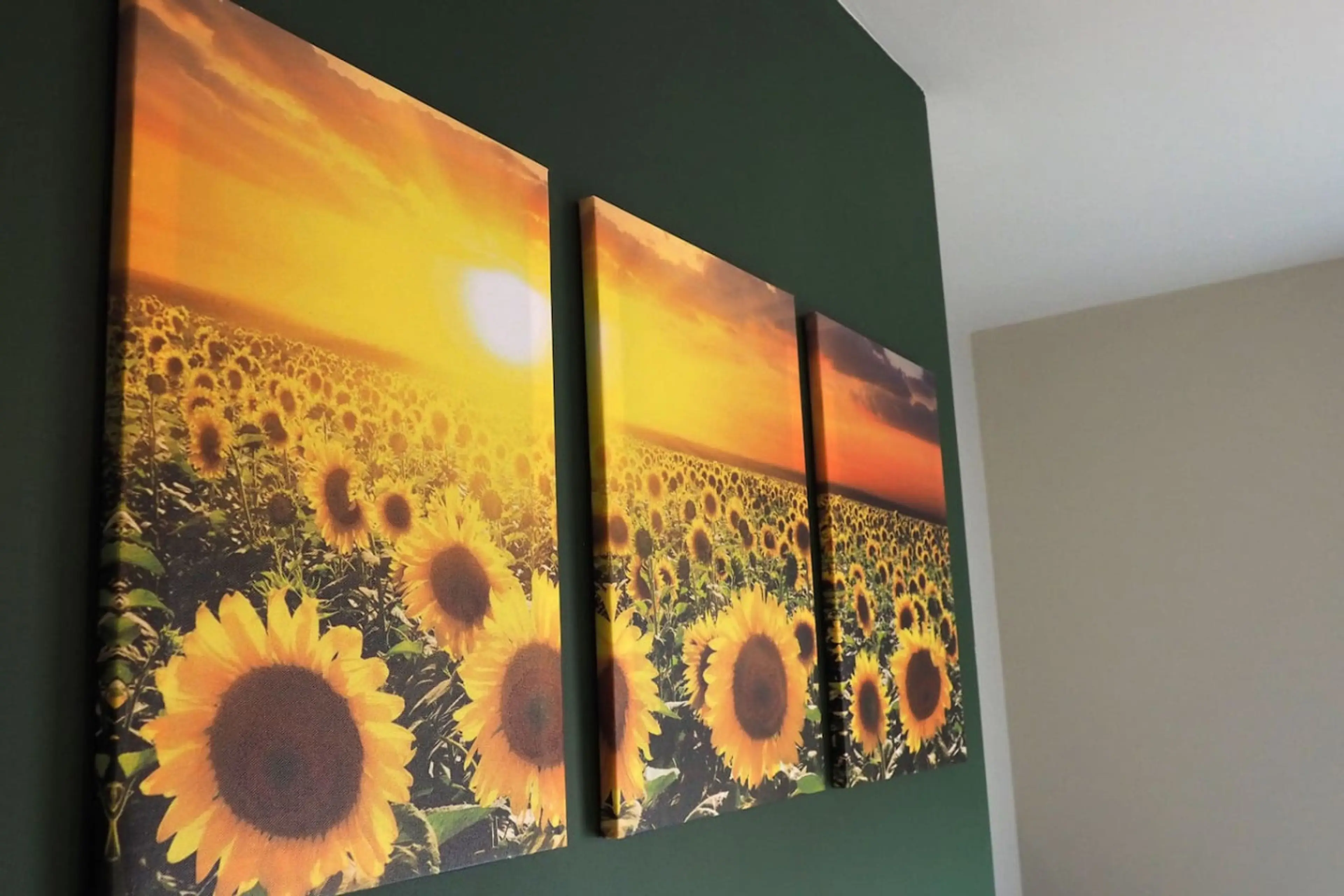 13 Borough Street - Image 11