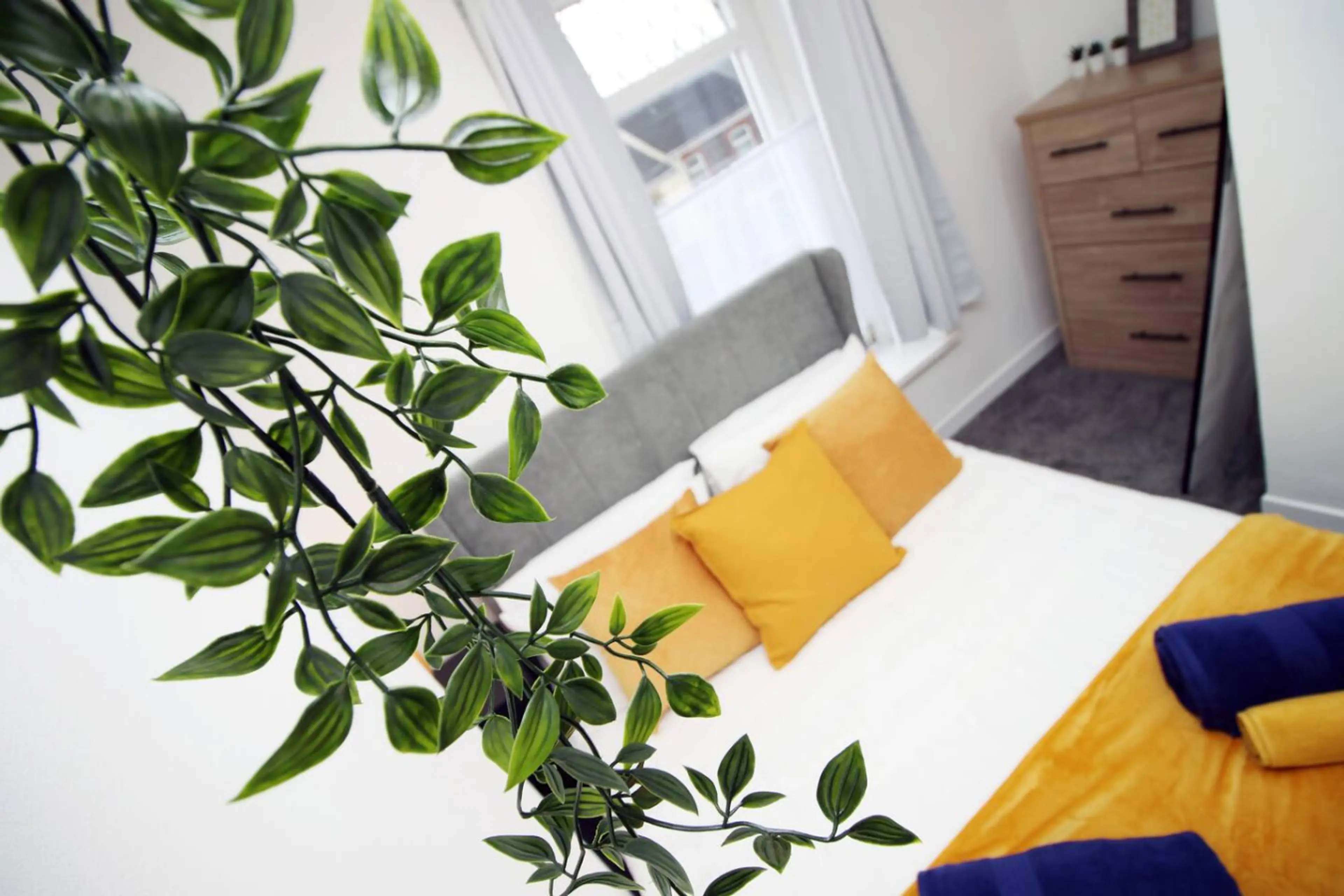 30 Terrace Road - Image 17