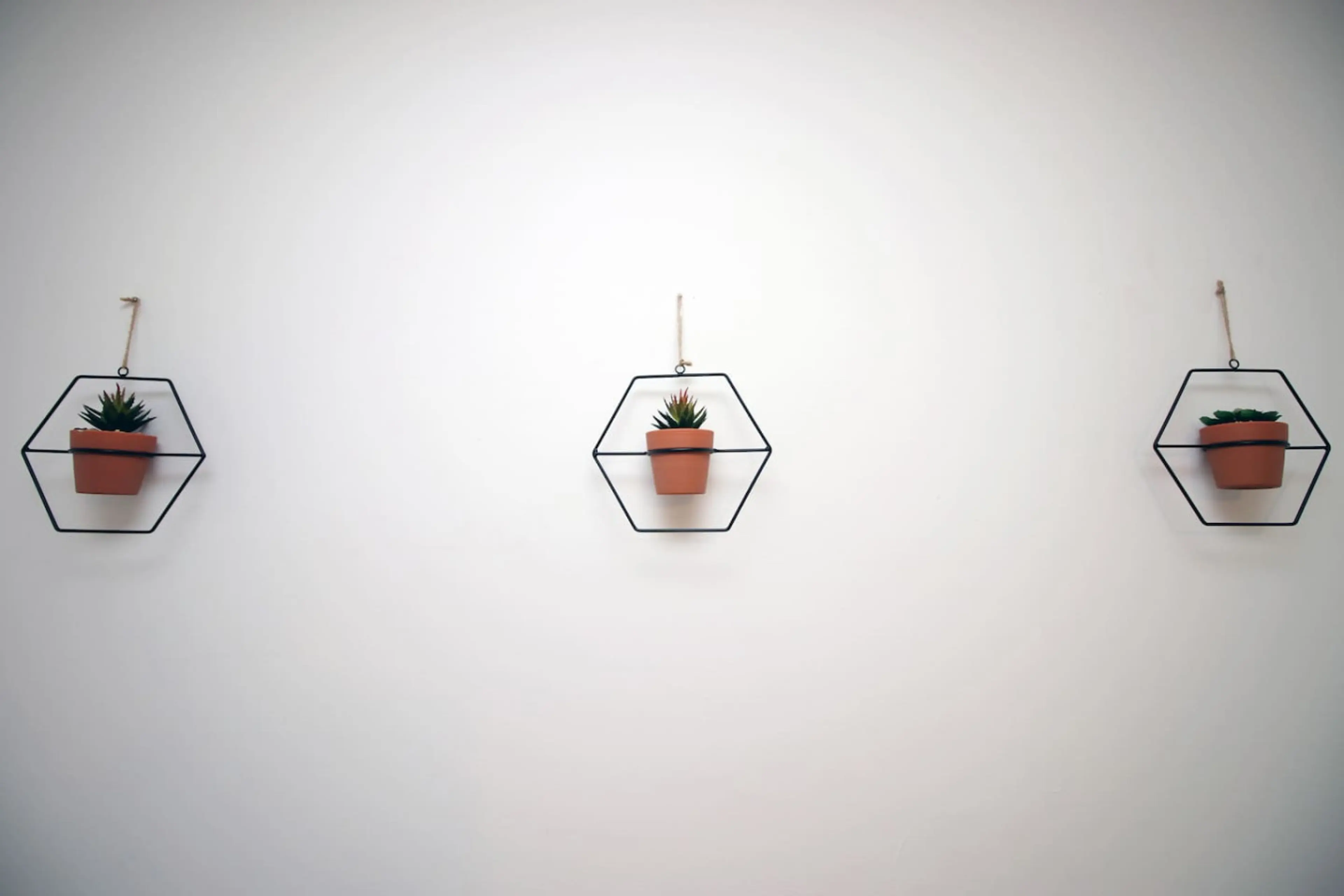 30 Terrace Road - Image 35