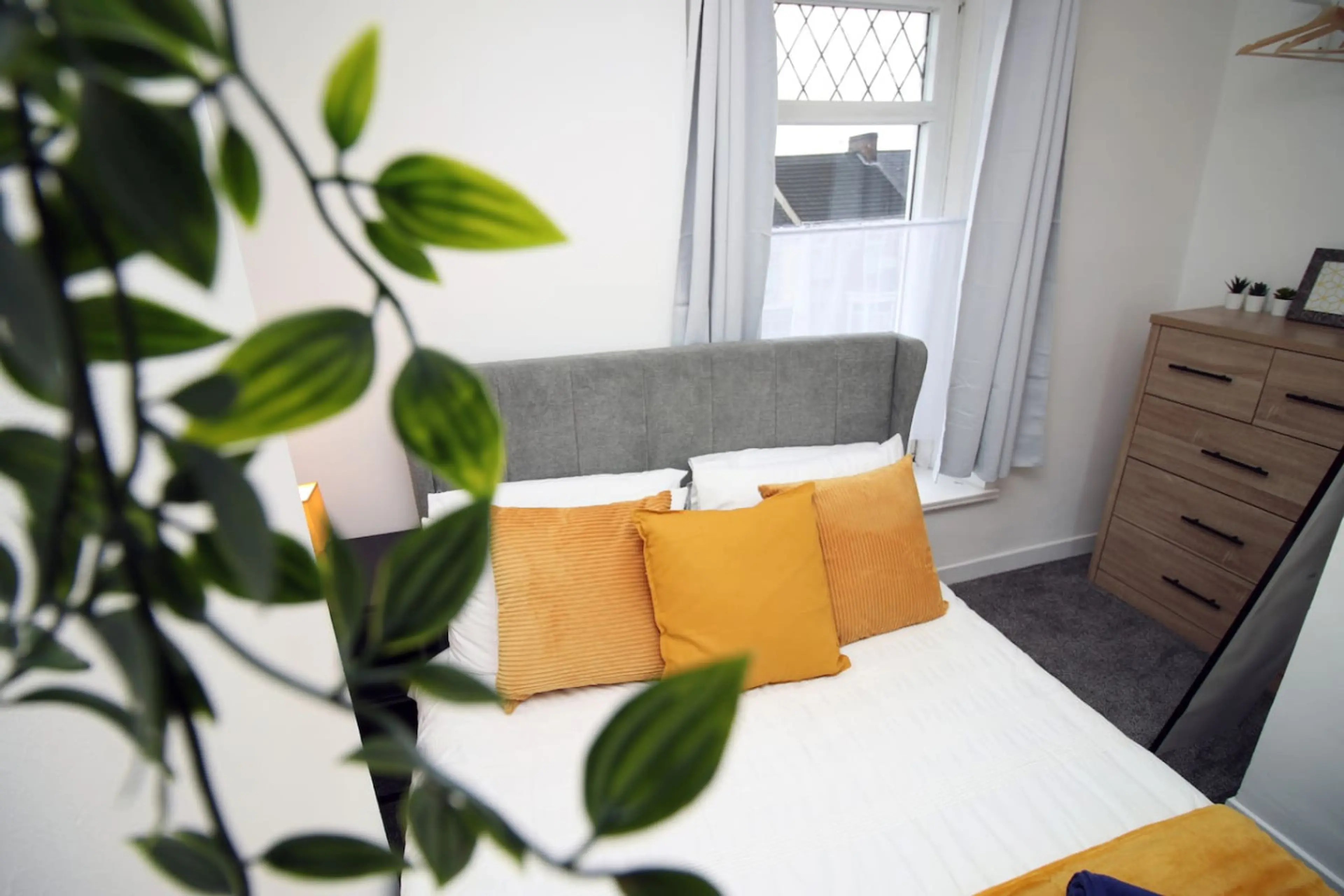 30 Terrace Road - Image 23