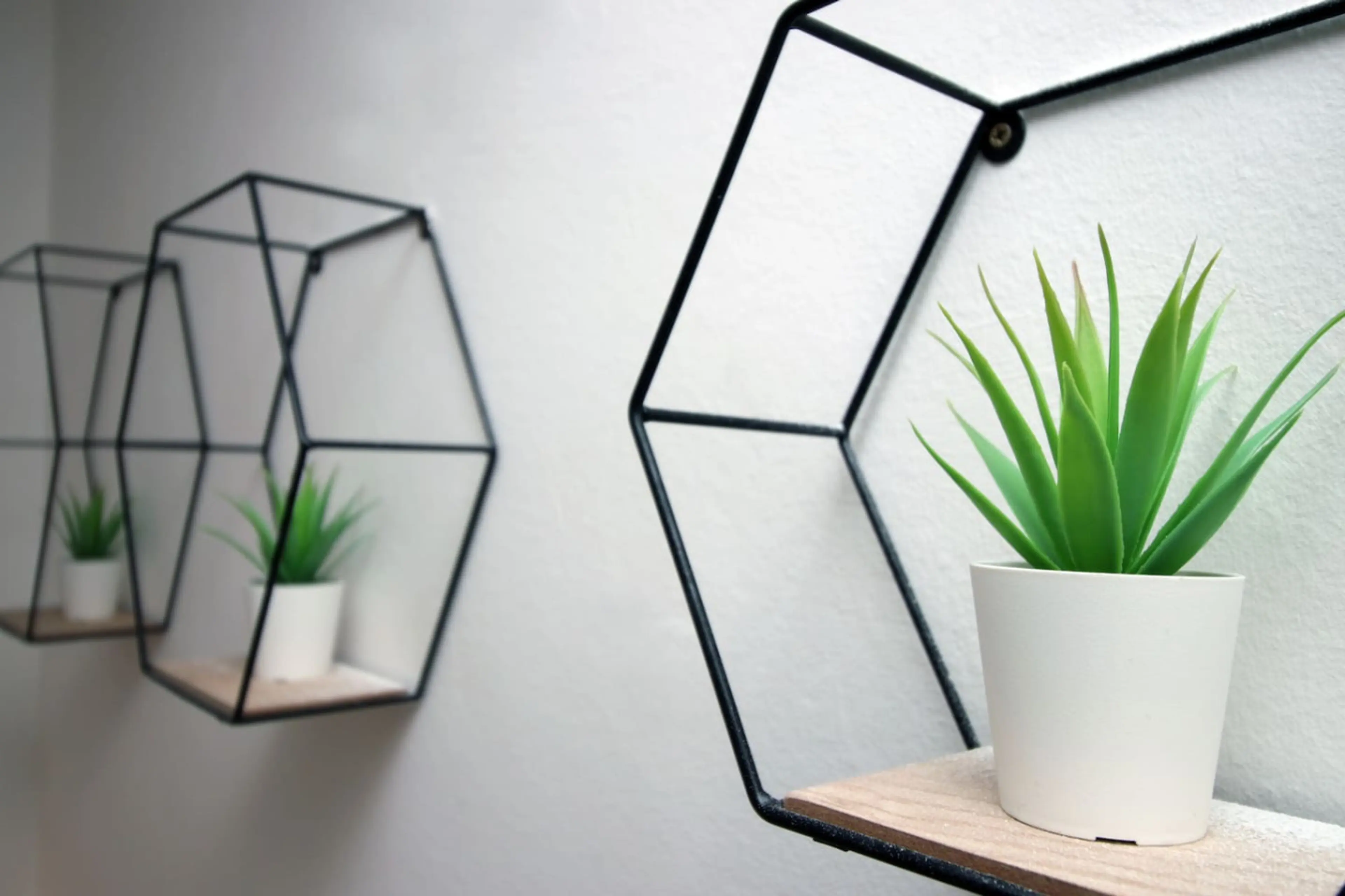 30 Terrace Road - Image 18