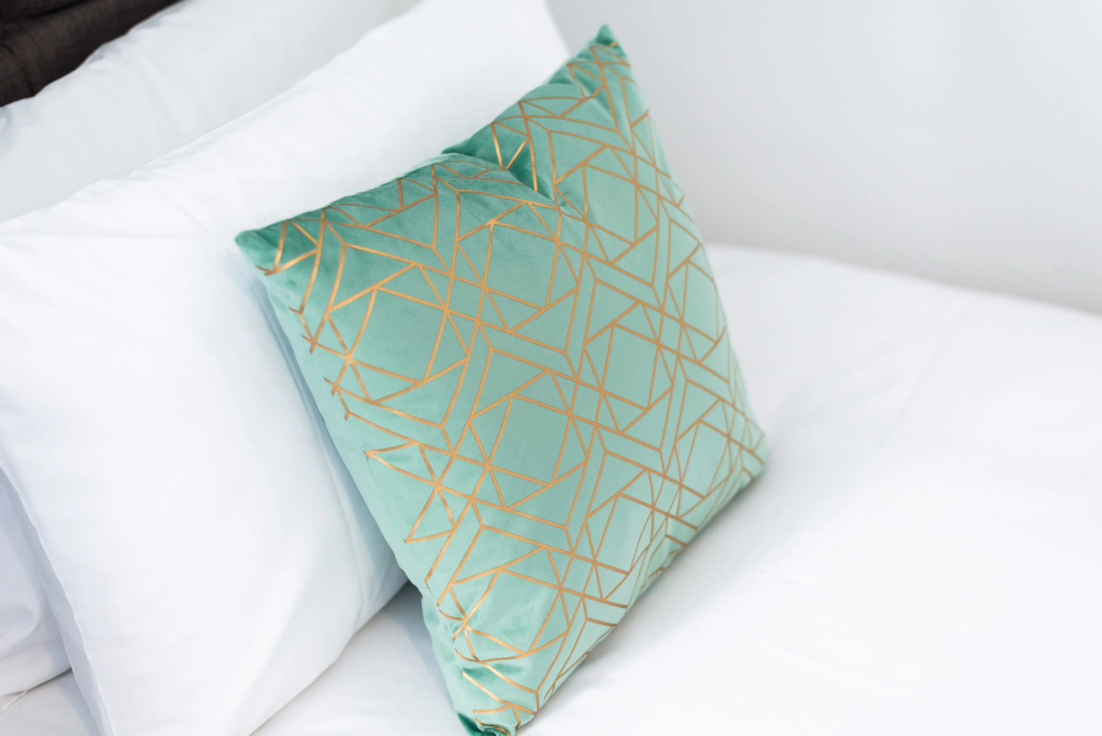 7 Campbell Street - Image 12