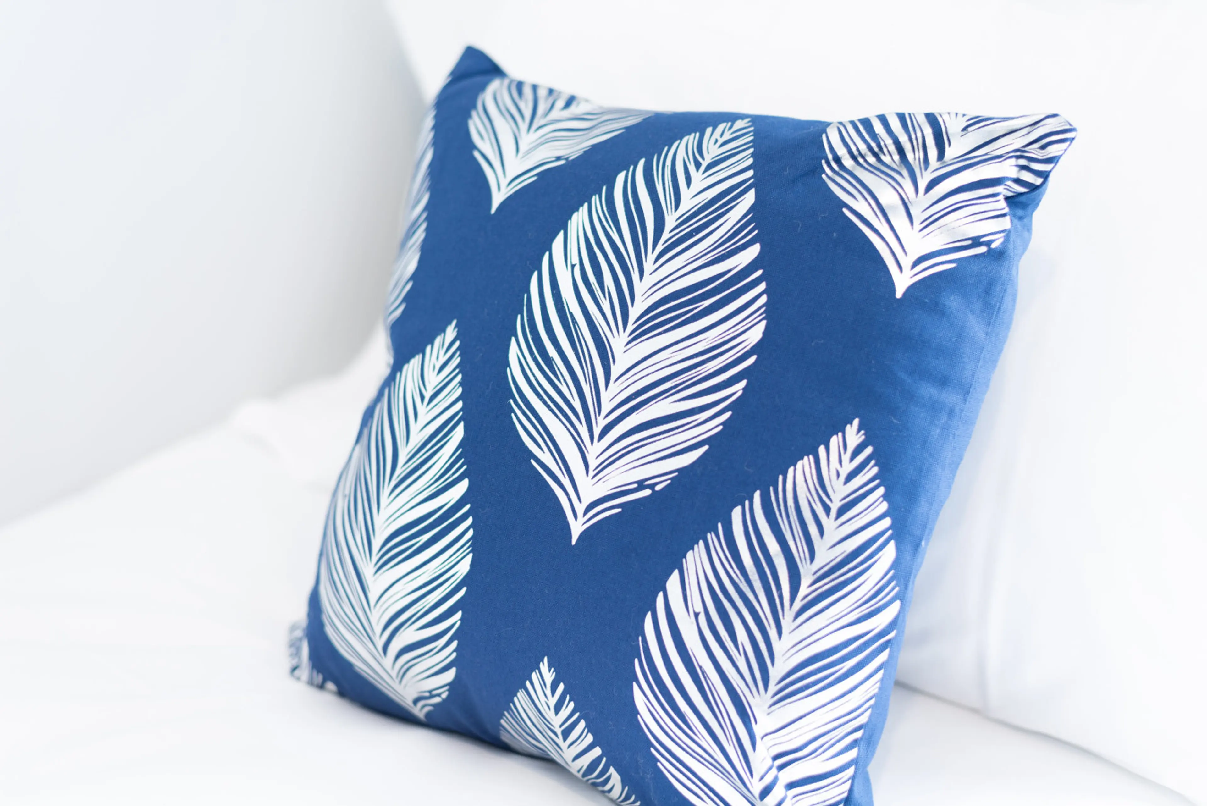 7 Campbell Street - Image 21