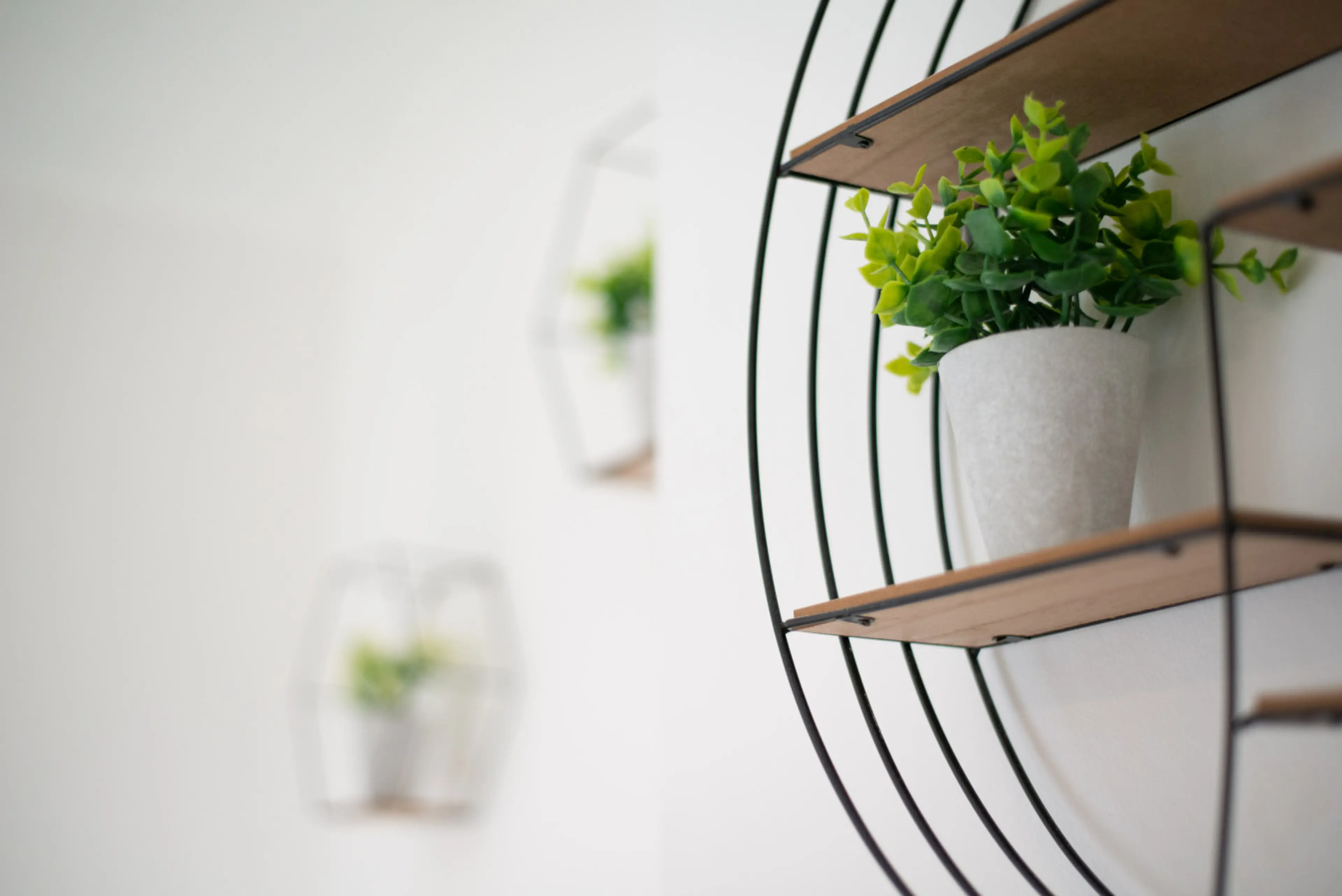 18 Jersey Terrace - Image 3