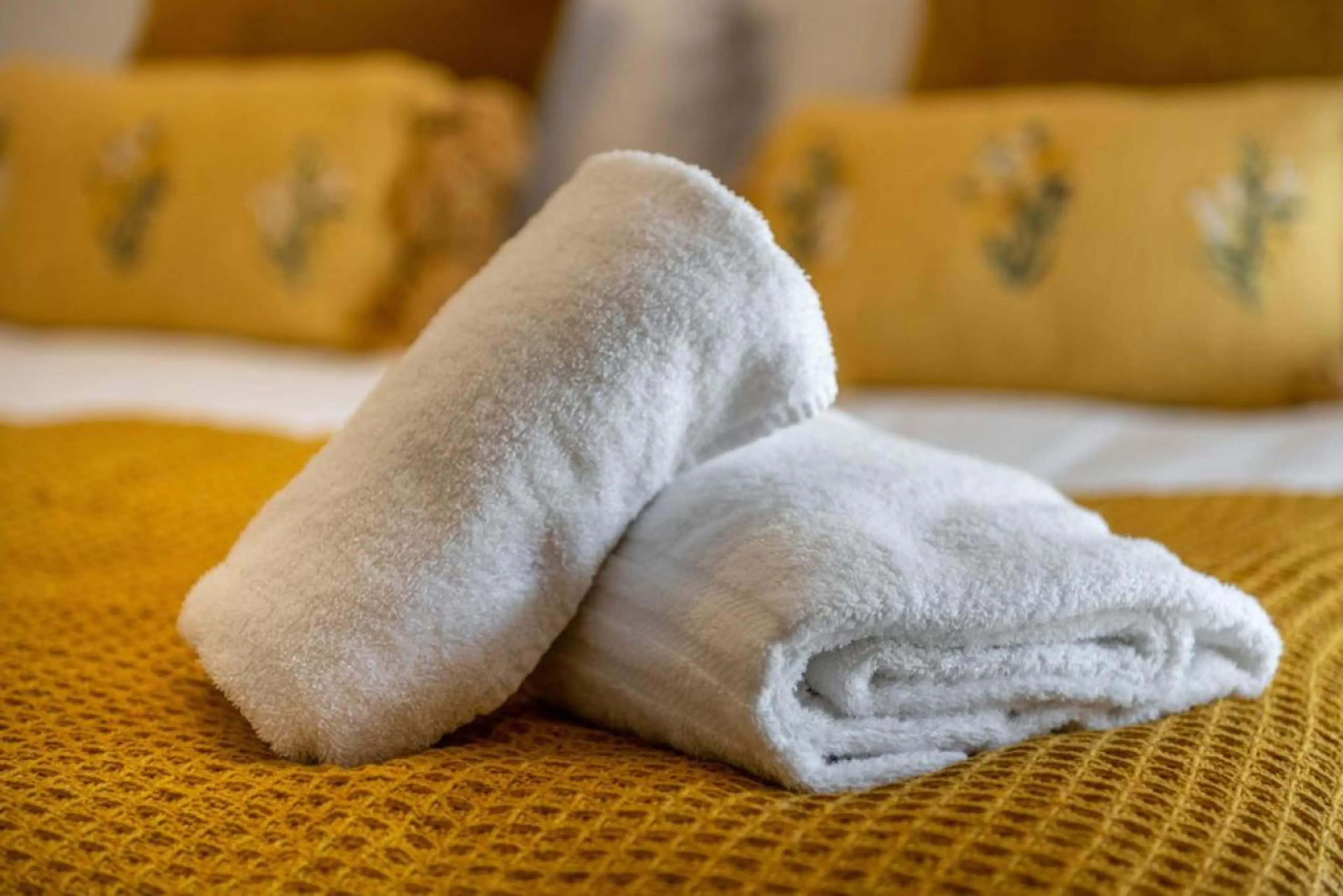 The New Lodge - Cottage - Image 18