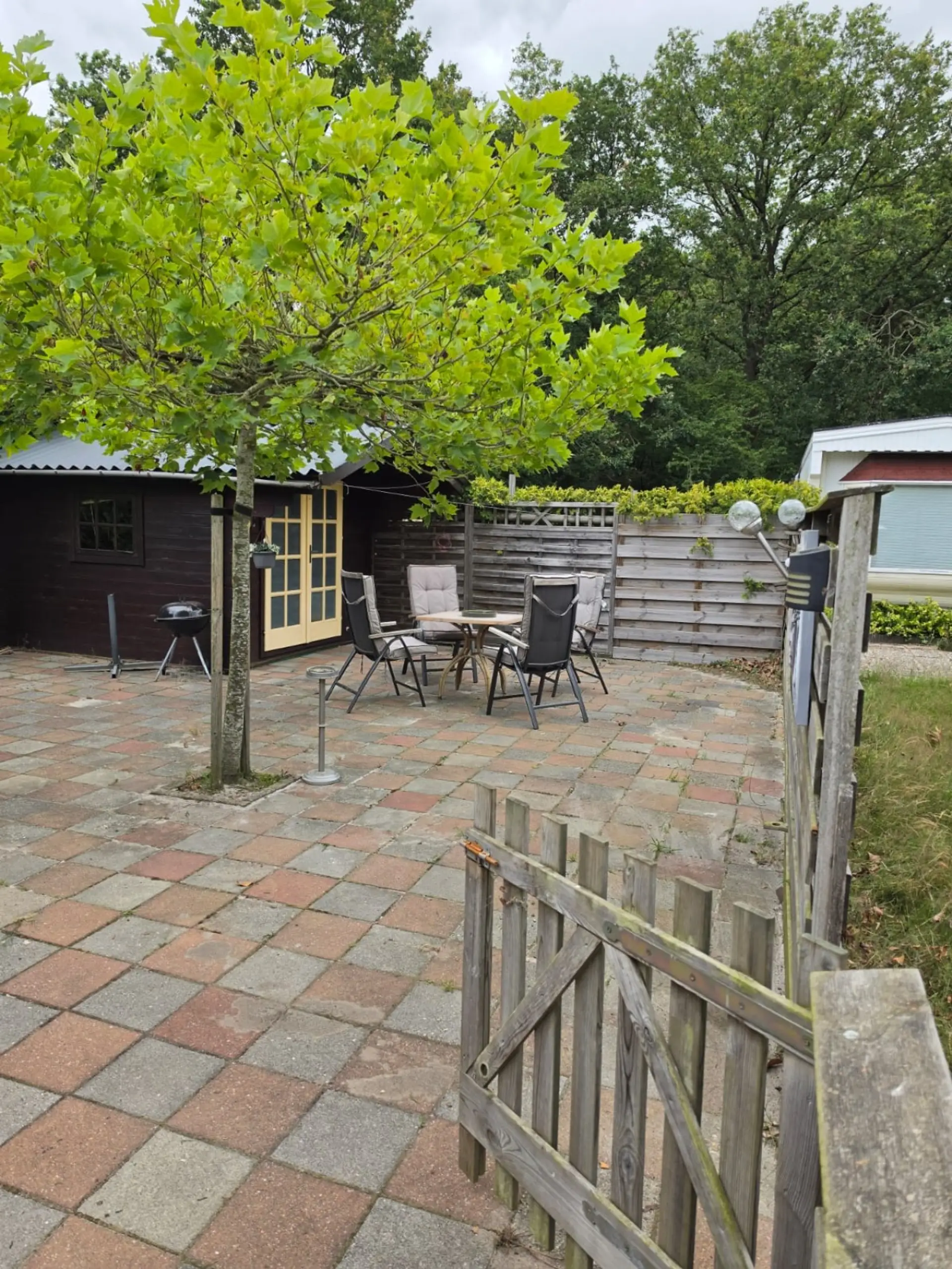 Tuin 1