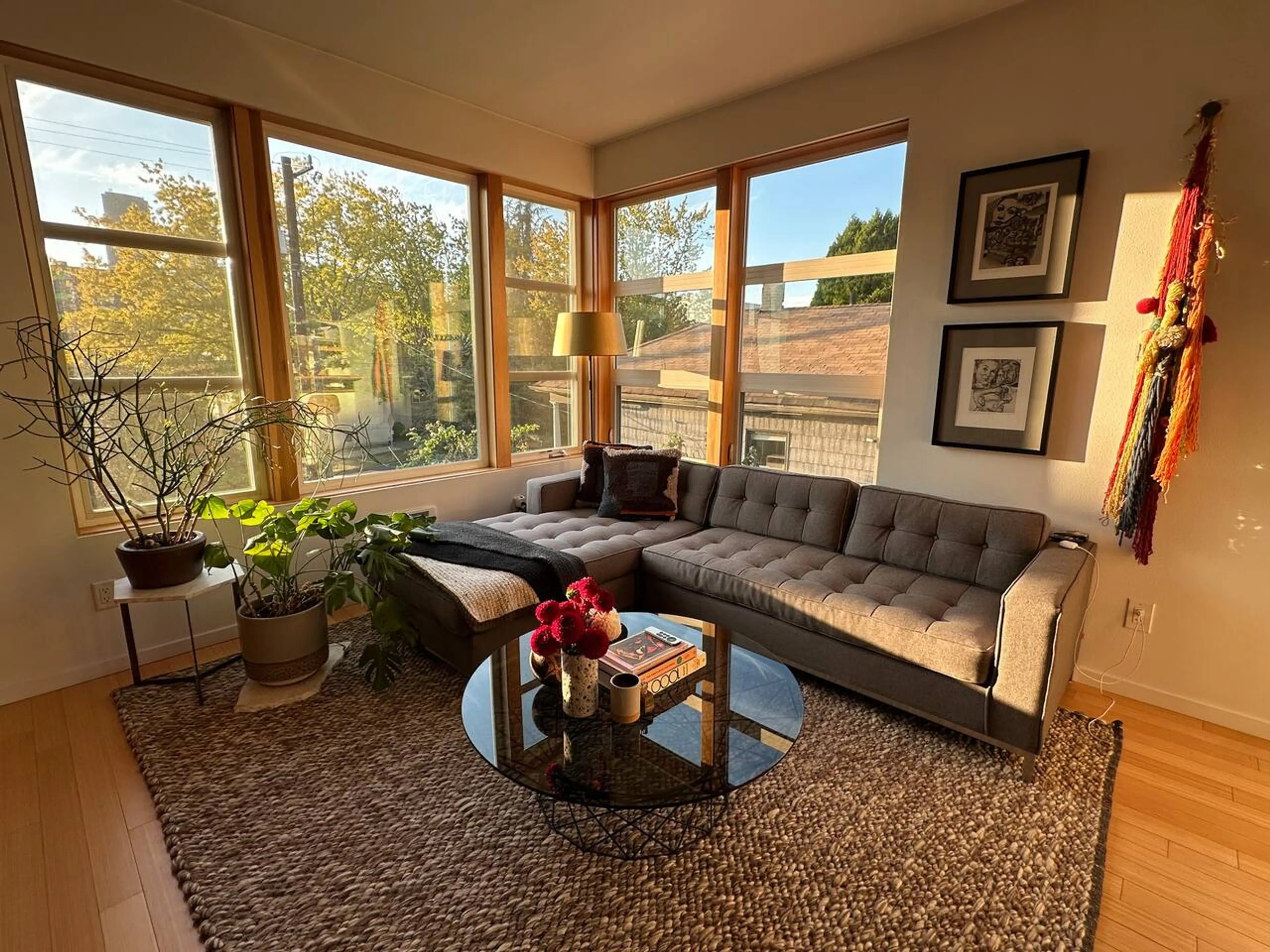 Light filled living area