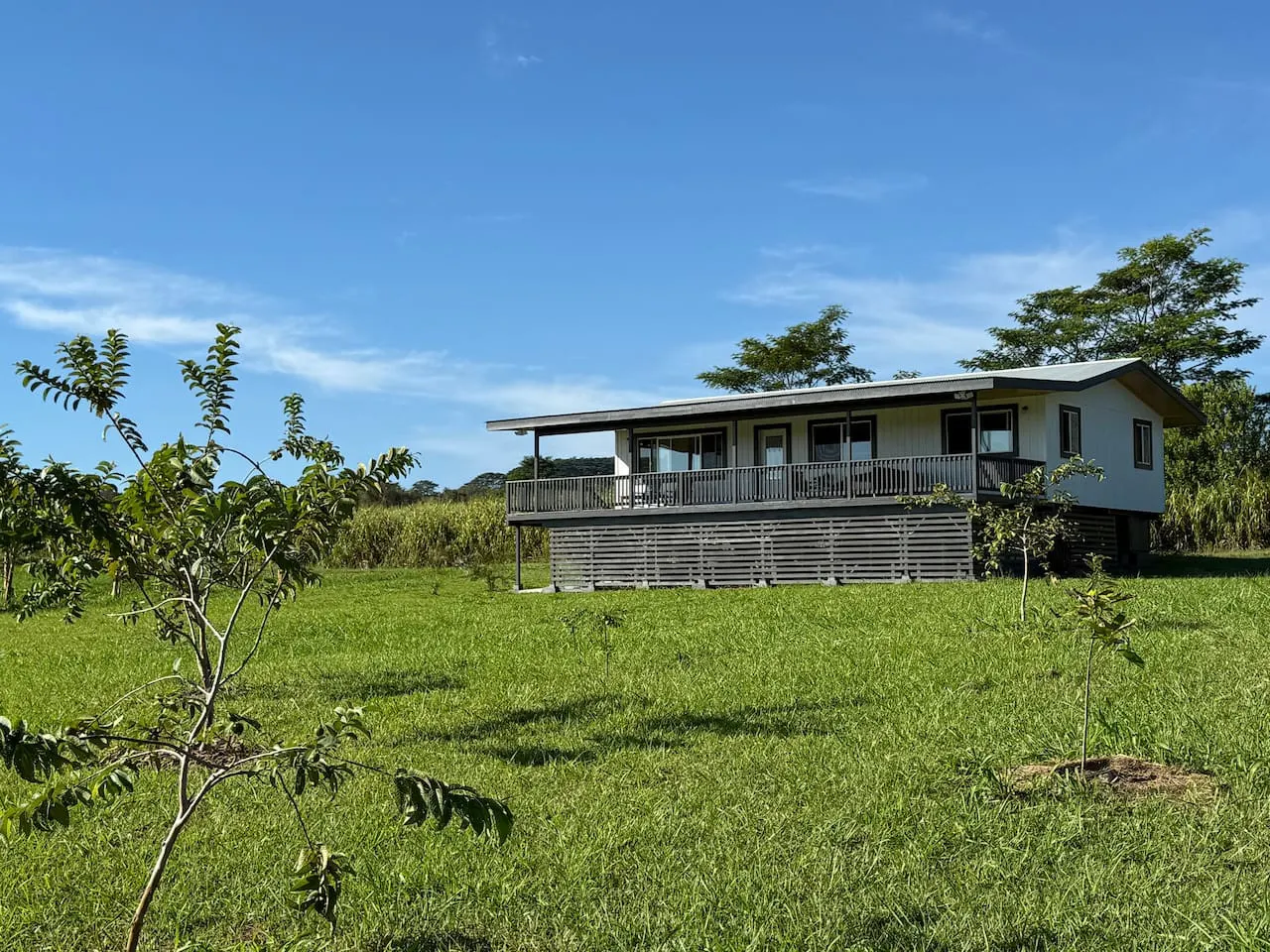 Vibe Farms in Honomu