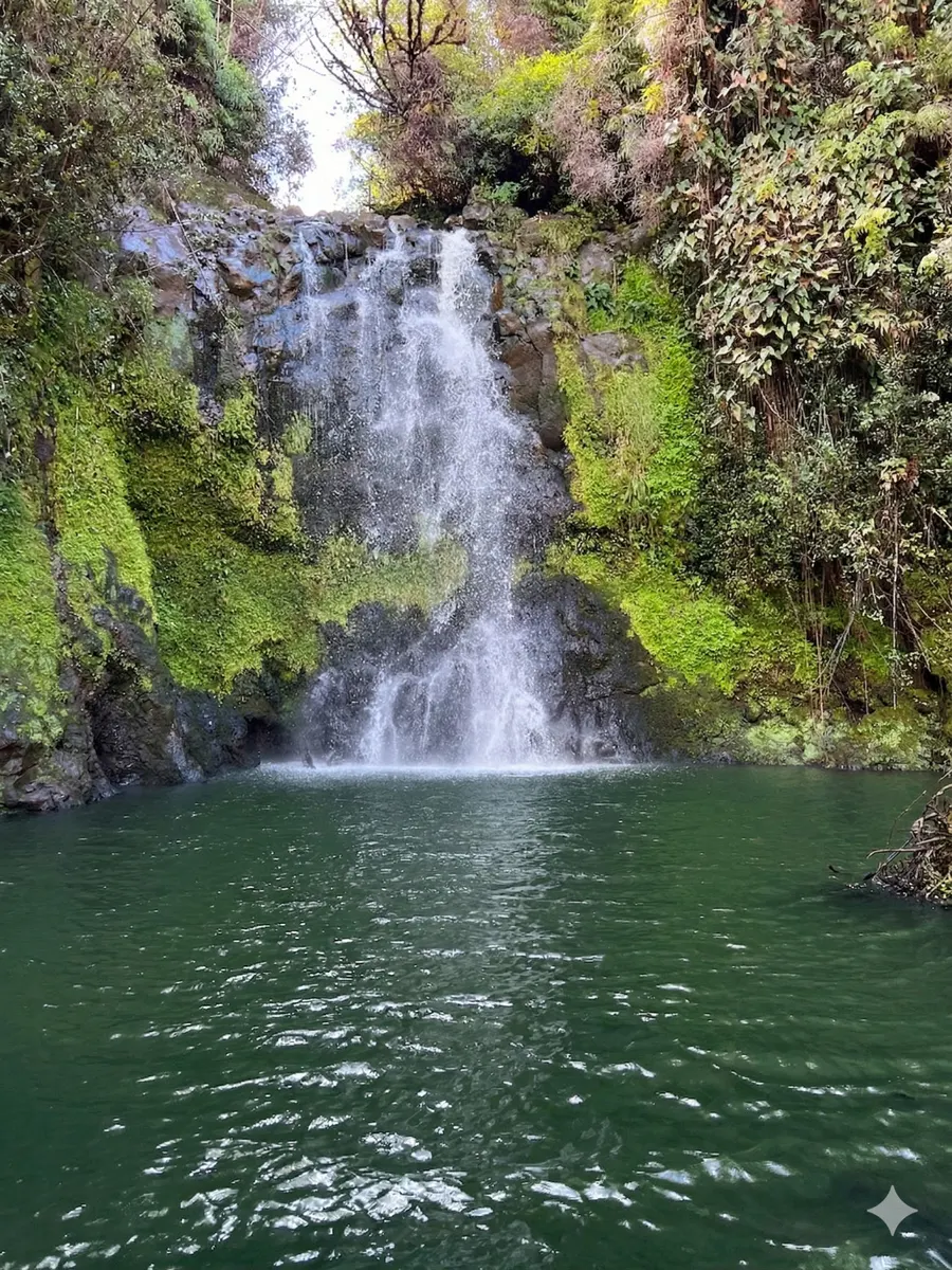 Waterfall Ranch, photo 2