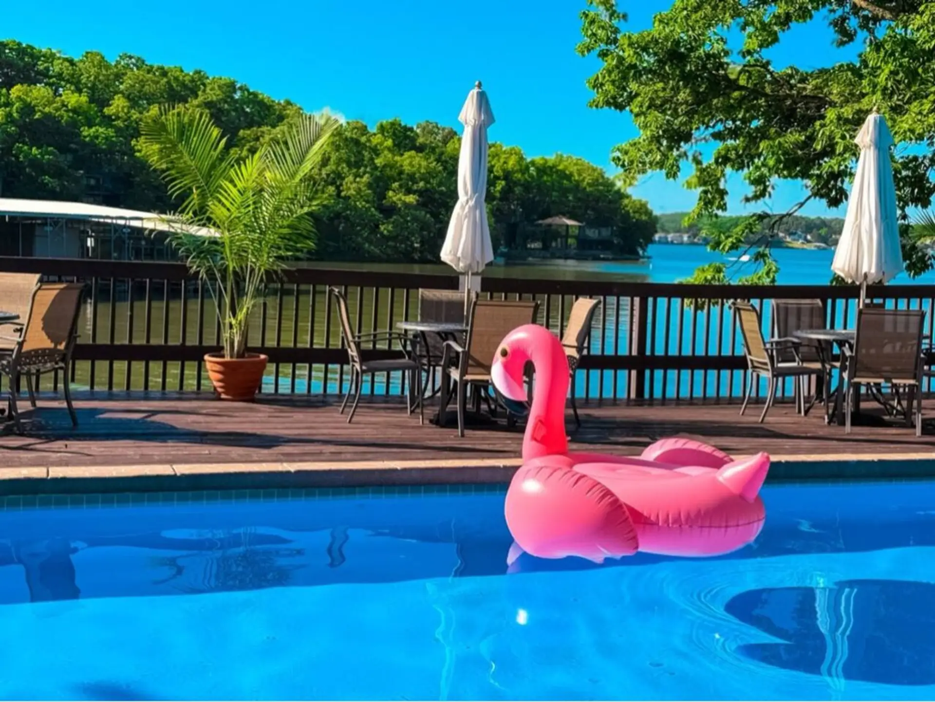 Enjoy the best of both worlds—swim in the pool with serene lake views in the background.