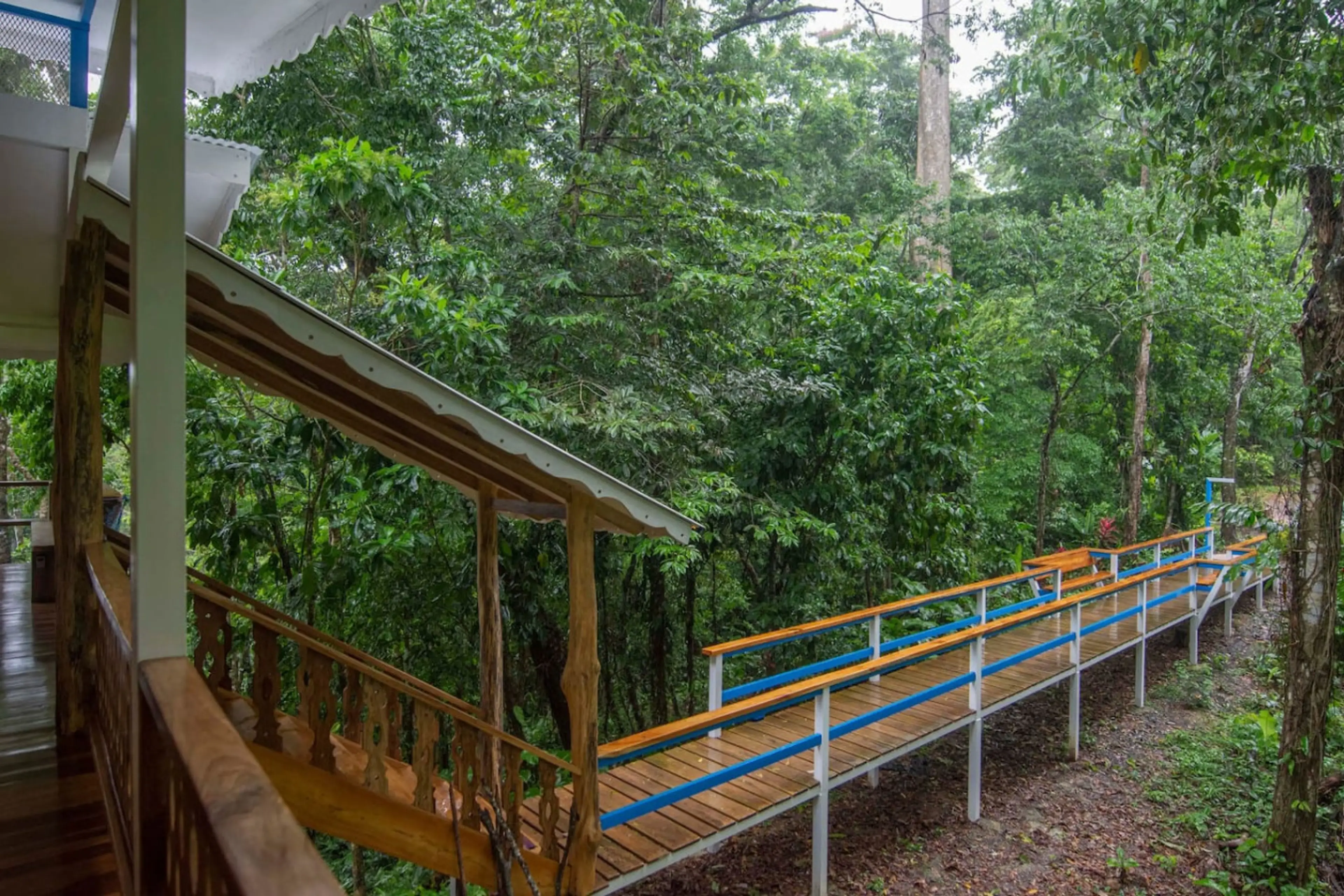 Entrance Bridge - Blue Maverick