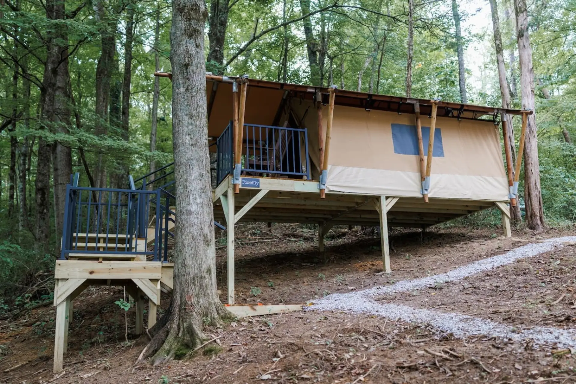 Exterior of Firefly Treehouse