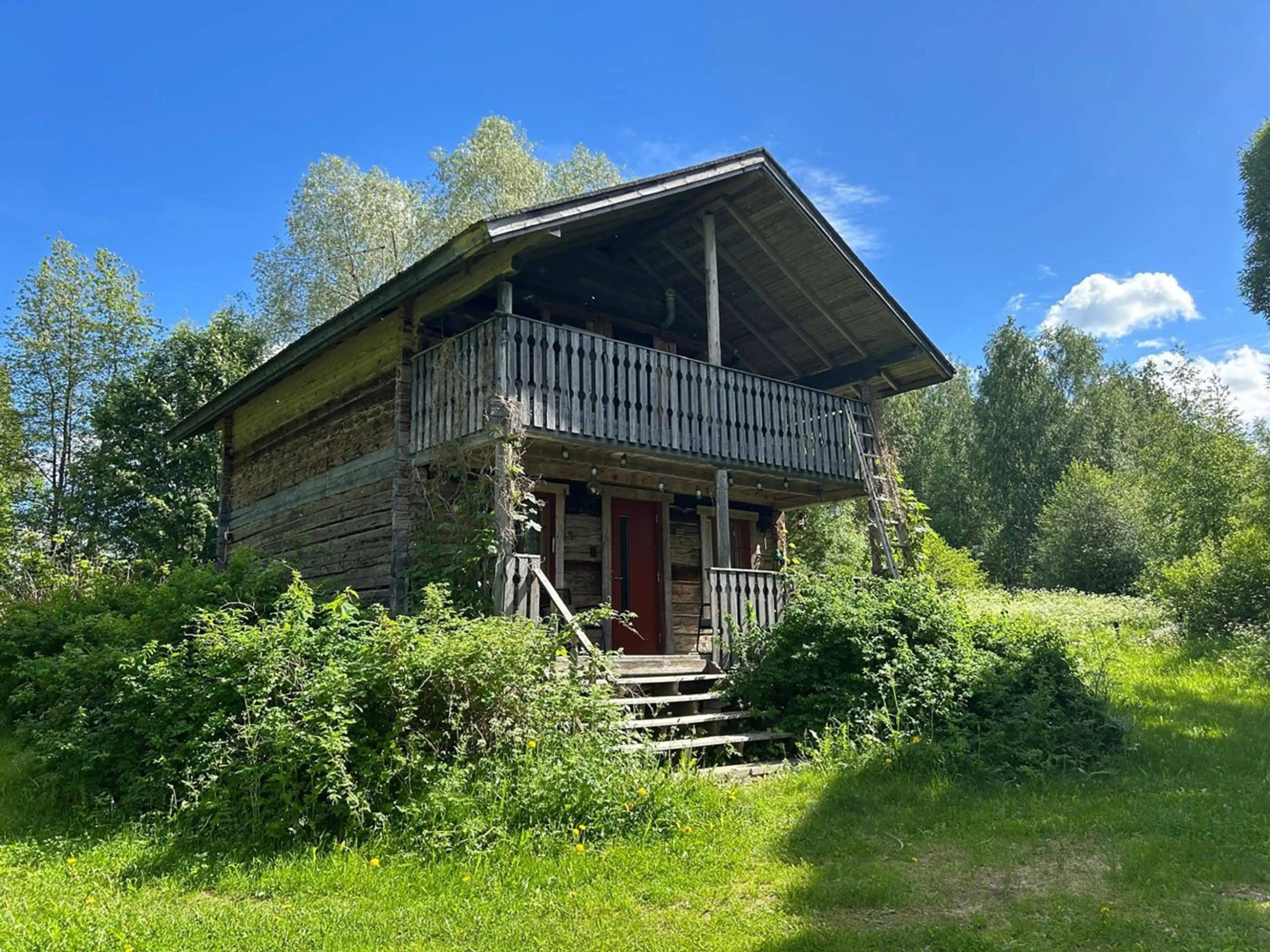Cabin in the summer