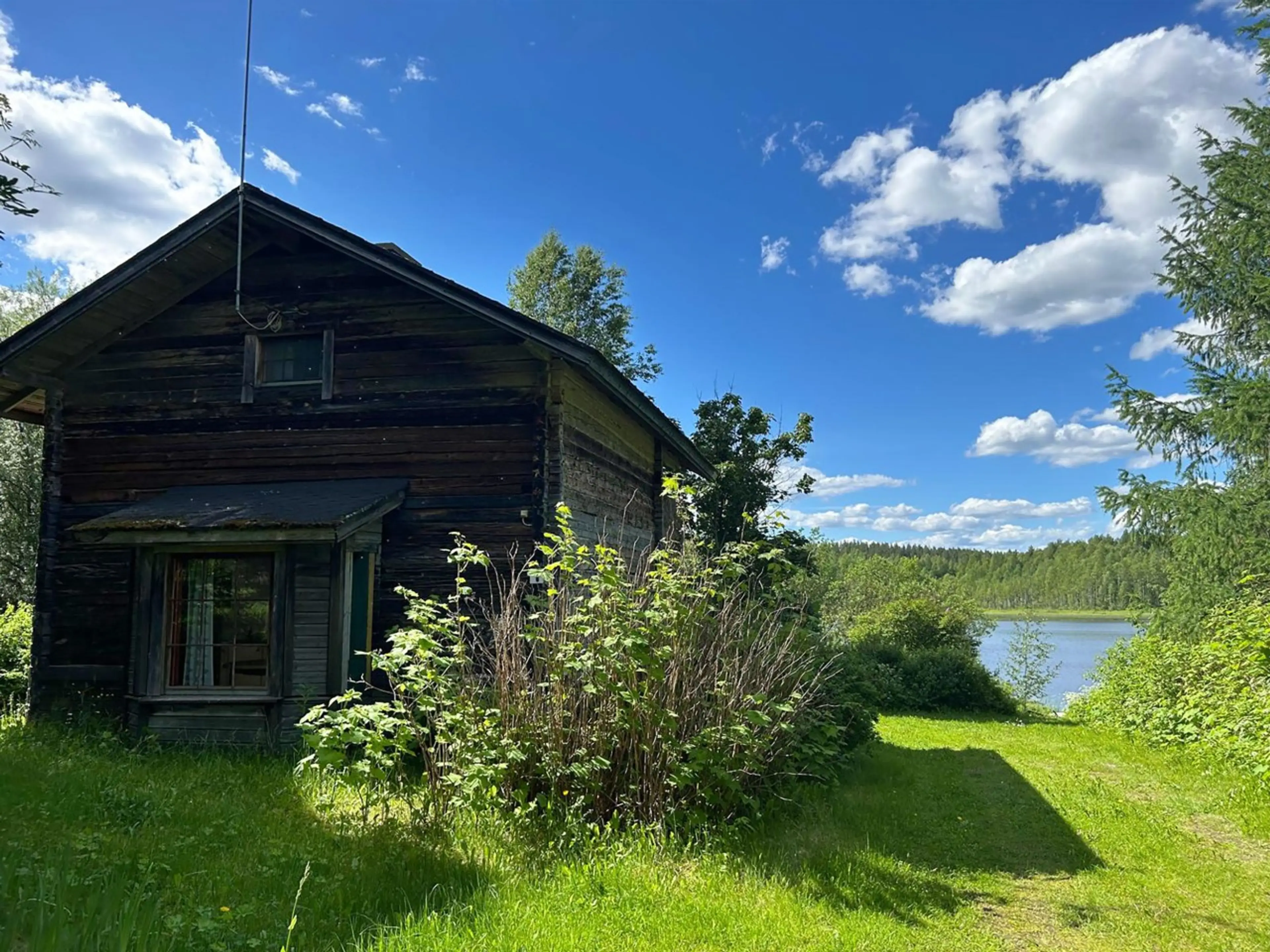 Cabin in the summer