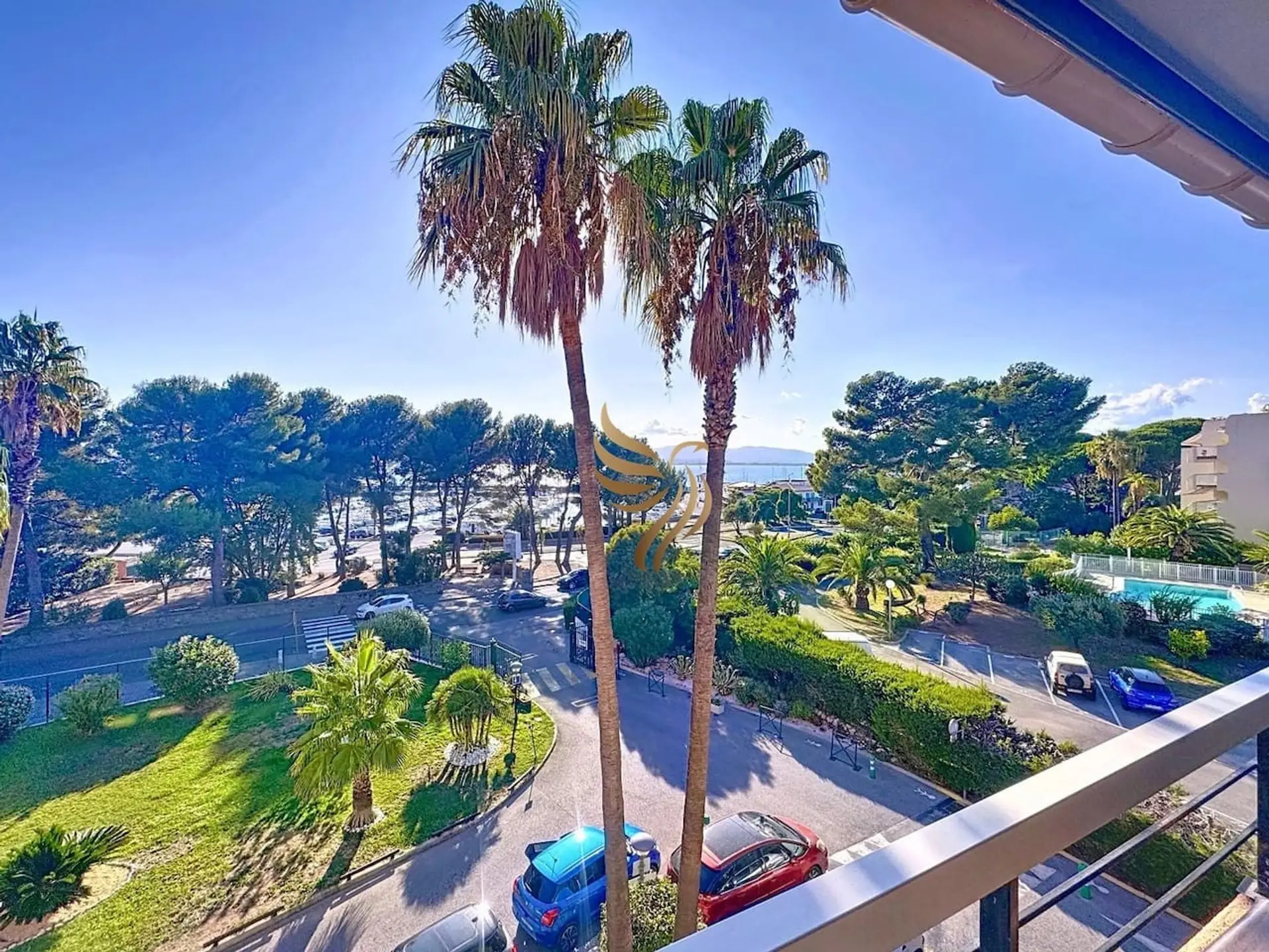 Superbe panorama sur les palmiers et le paysage environnant, offrant une vraie ambiance de vacances.