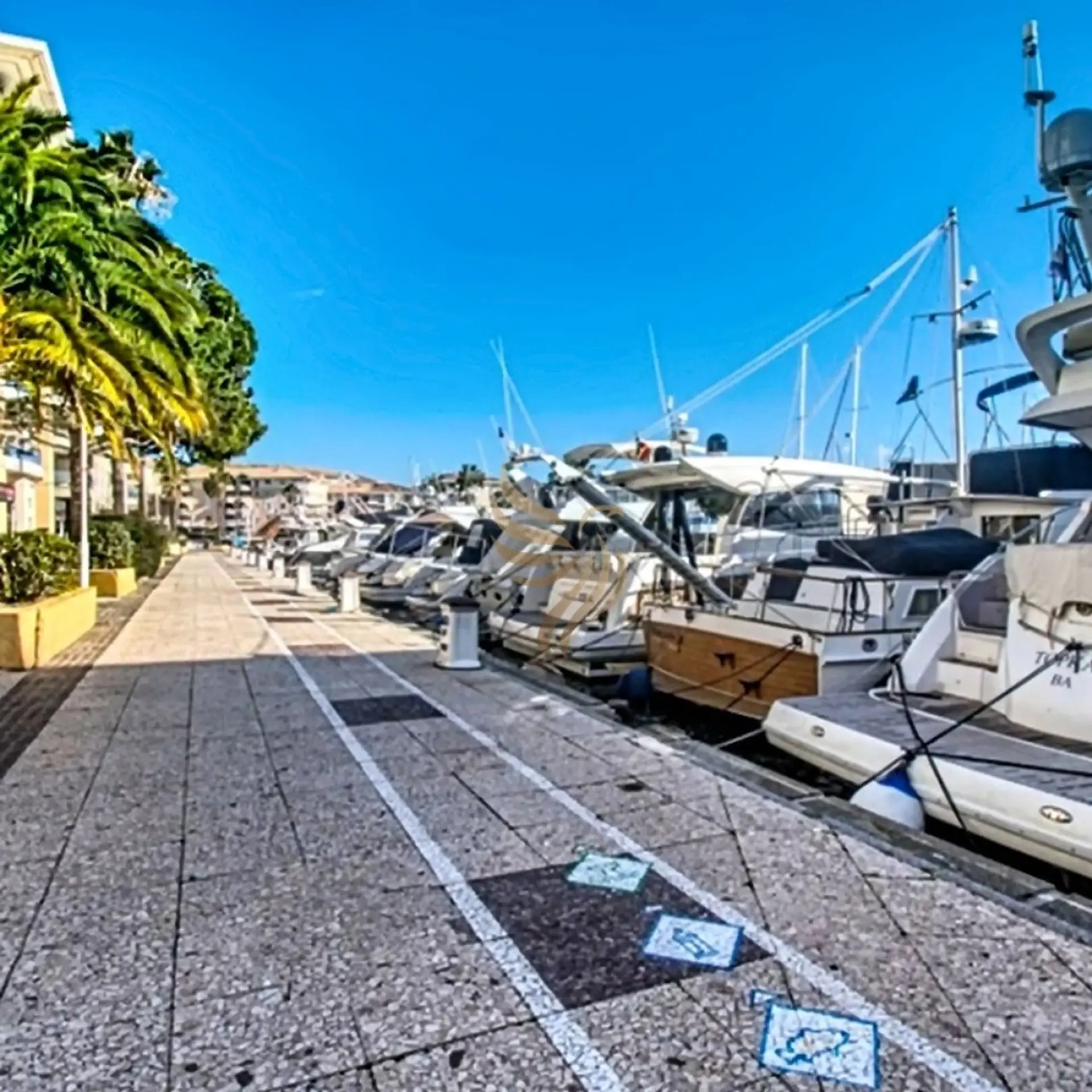 Un matin sur le quai : café à la main, vous flânez sous les palmiers tandis que les yachts scintillent au soleil, ambiance marine et invitation à la promenade ou à l'embarquement.