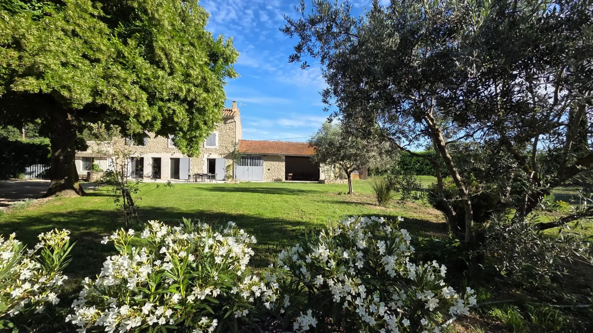 jardin