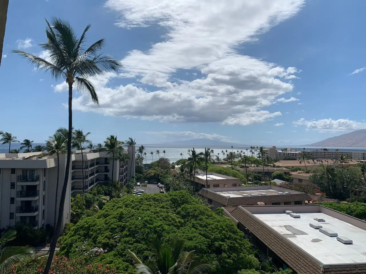 Beautiful Ocean View Studio! - Image 4
