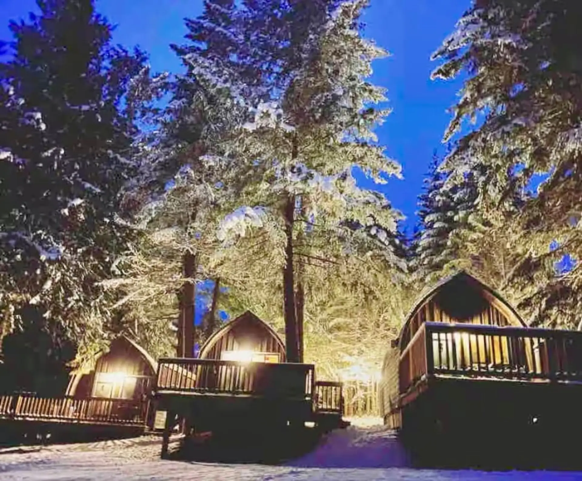Charming Cabin Retreat: Immerse yourself in nature with enchanting views and inviting lighting!