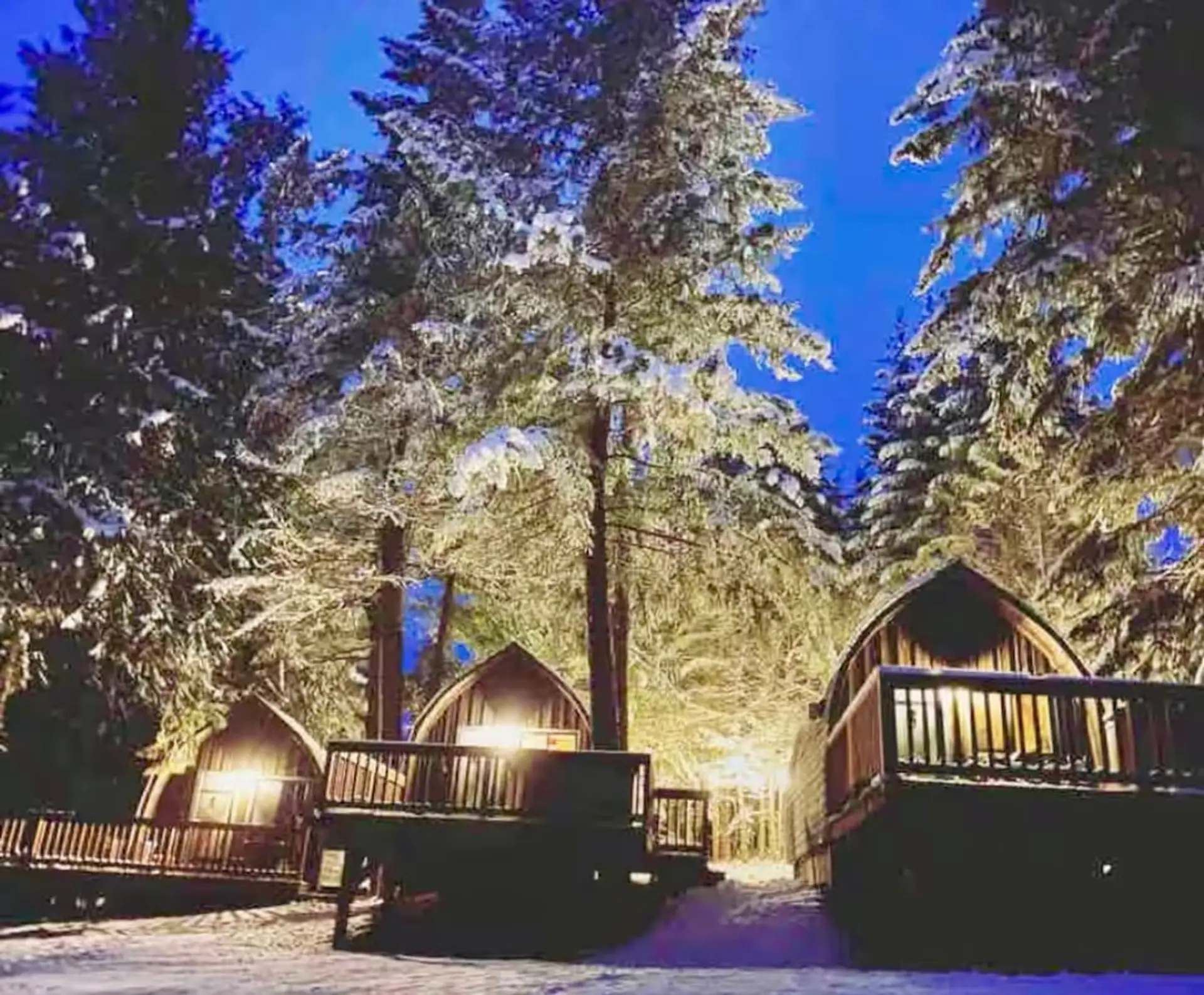Charming Cabin Retreat: Immerse yourself in nature with enchanting views and inviting lighting!