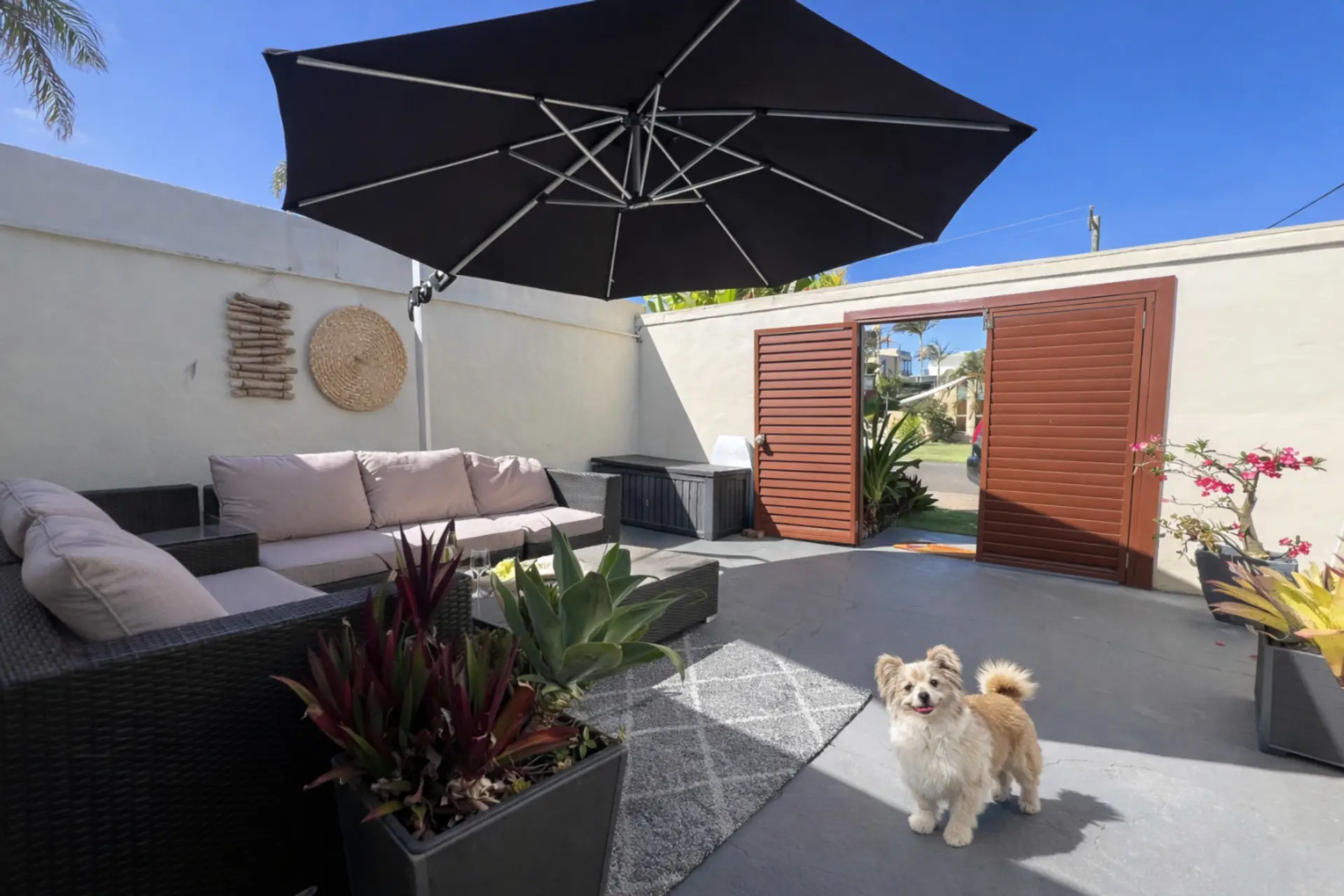 Bring your furry friend. The dog beach is a few minutes walk from the unit.