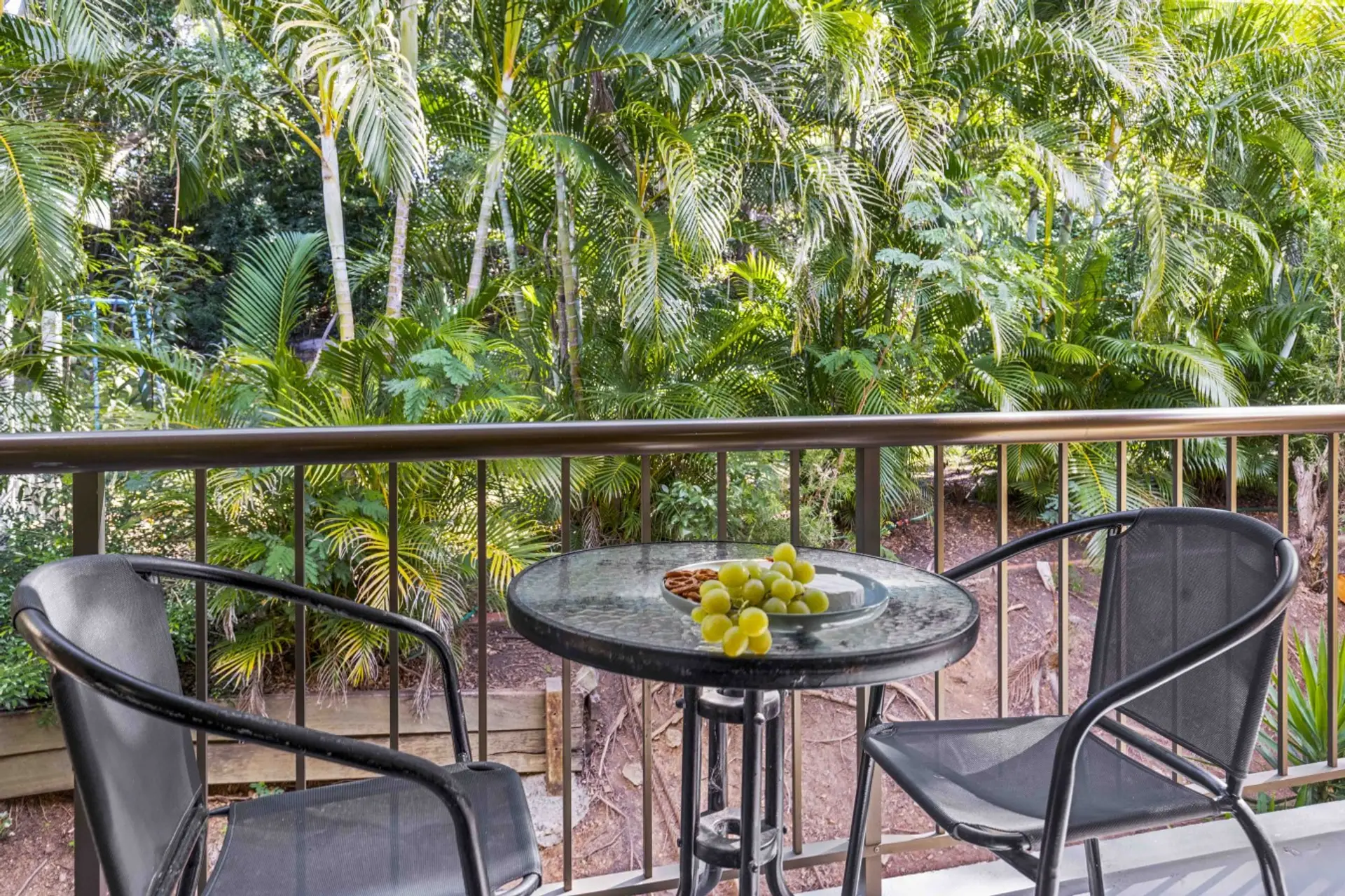 Morning coffee with a side of rainforest 🌿