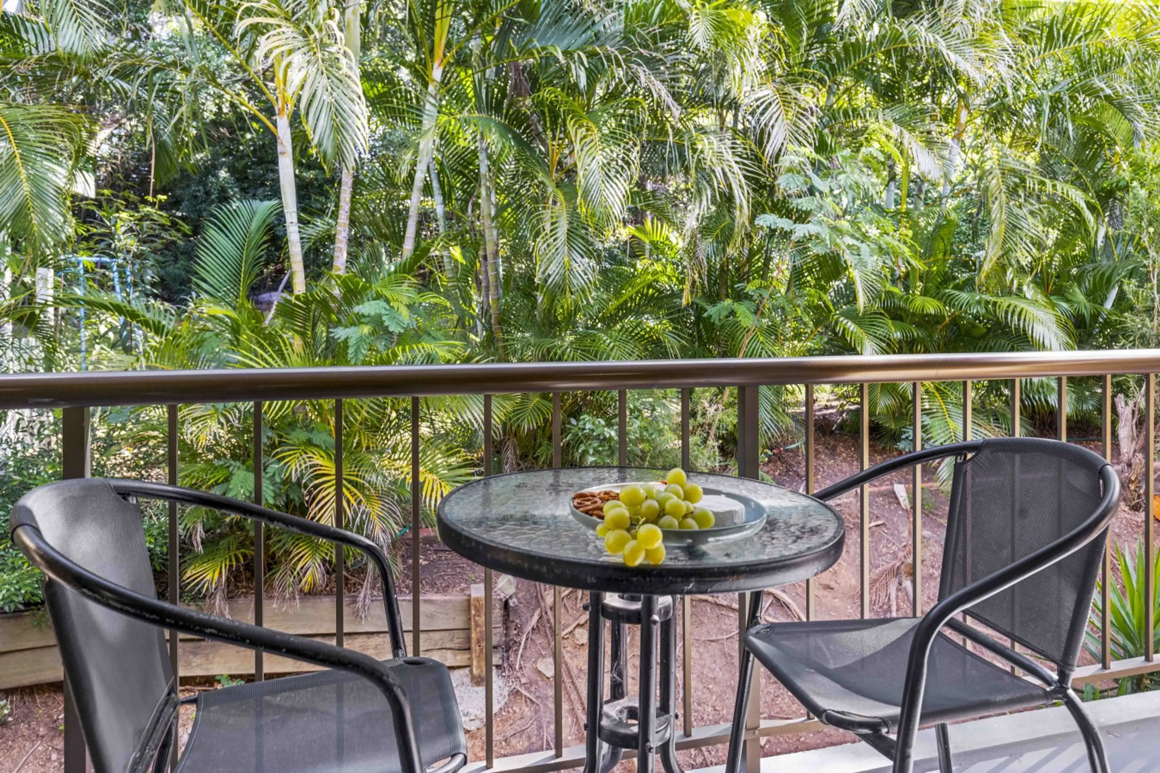 Morning coffee with a side of rainforest 🌿
