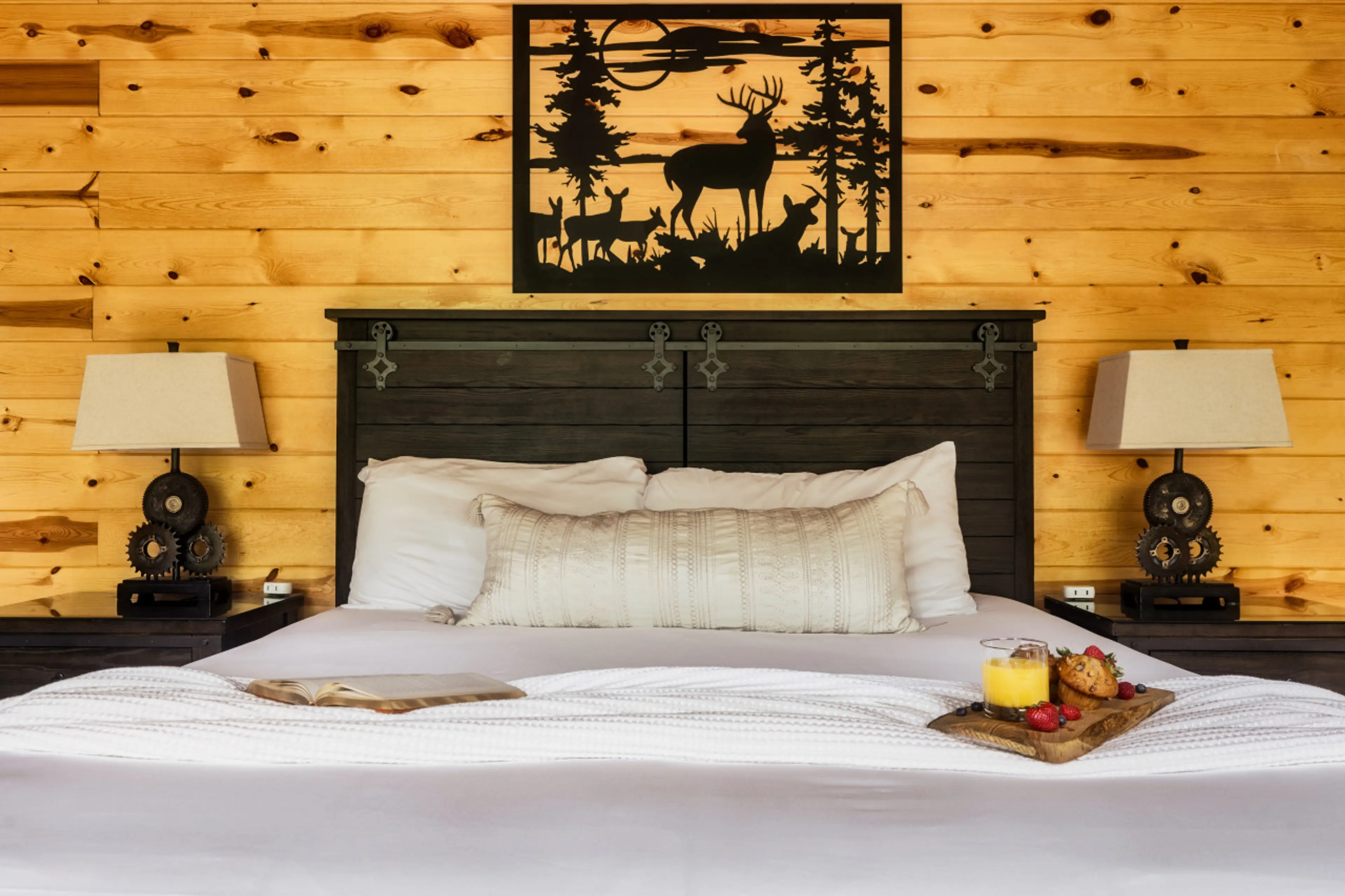 YARD, Hot Tub, Game Room, Theater, VIEWS, Fire Pit - Judy Top Lodge