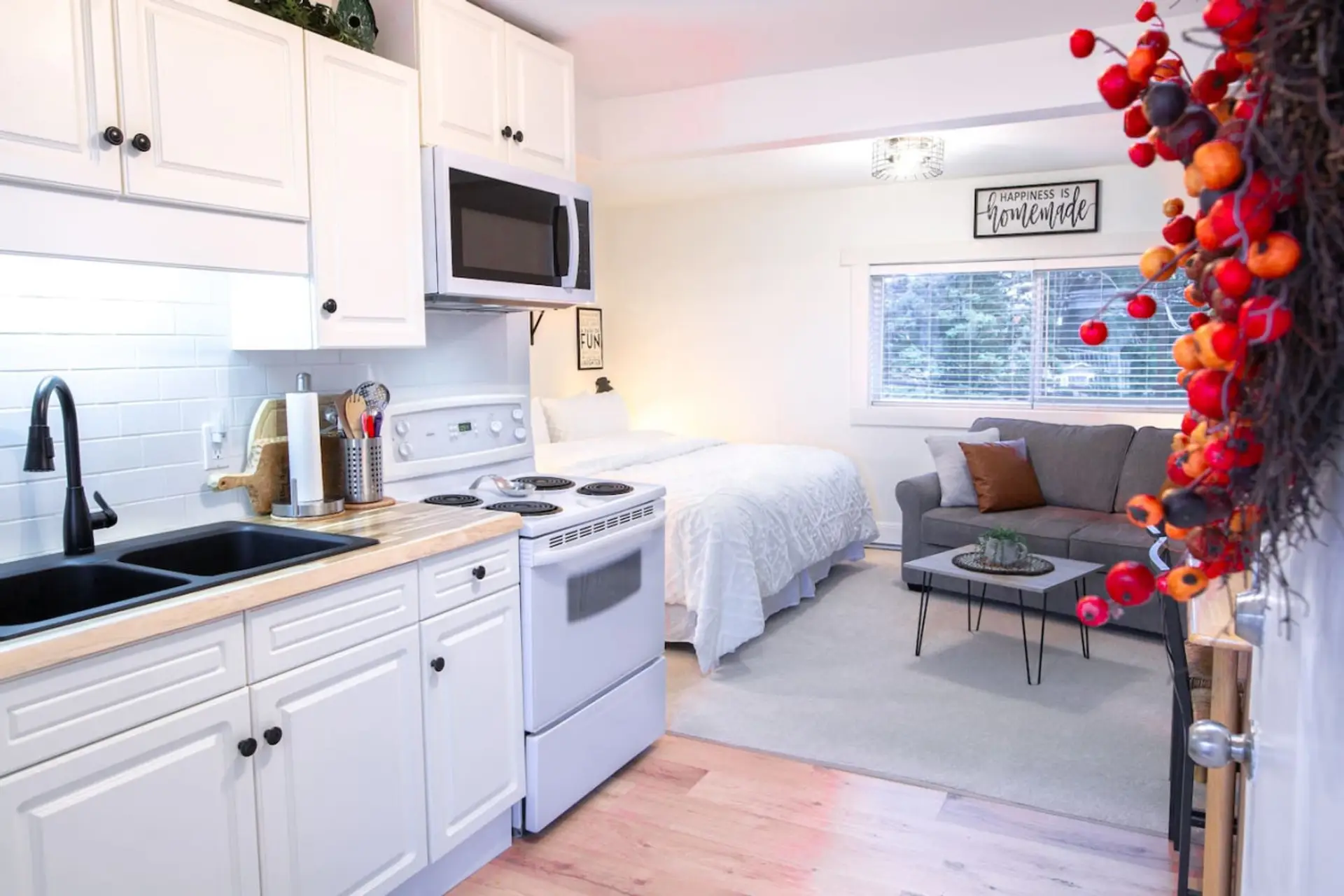 The studio unit offers a full kitchen, living area, and queen bed.