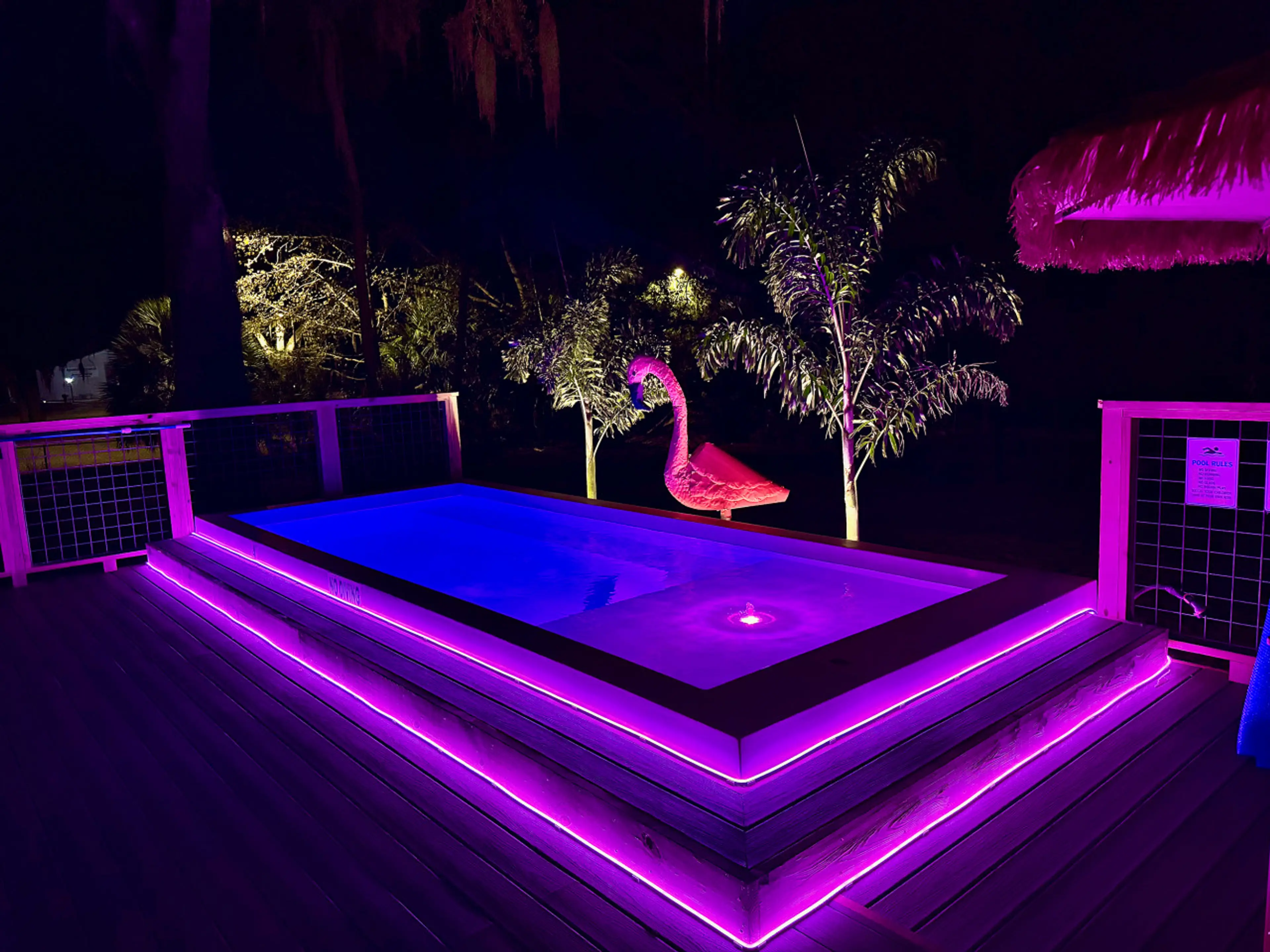 The Flirty Flamingo | Saltwater Pool | Old Homosassa
