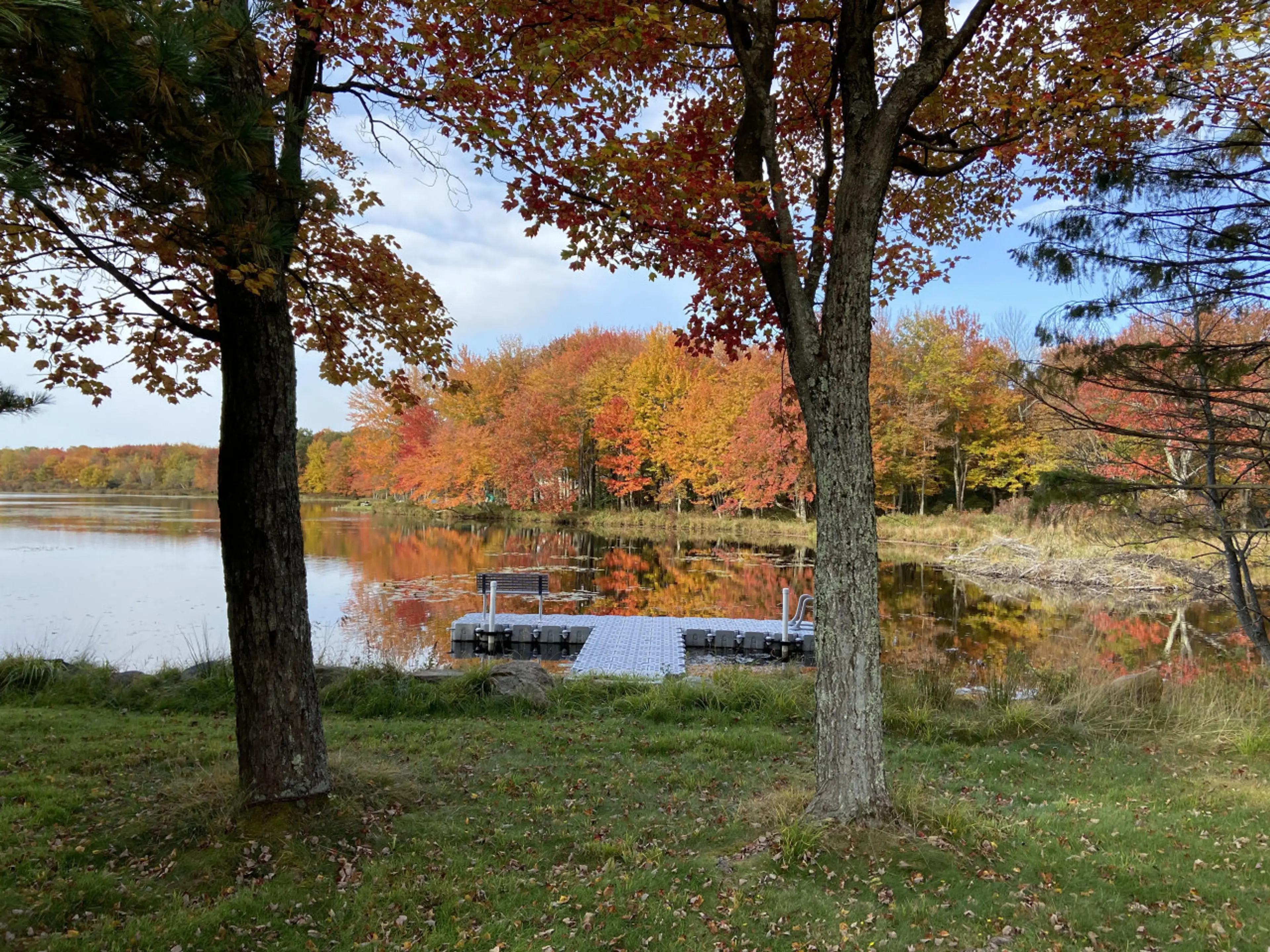 **Dock** Nothing beats Fall foliage in the Poconos, especially from the dock!