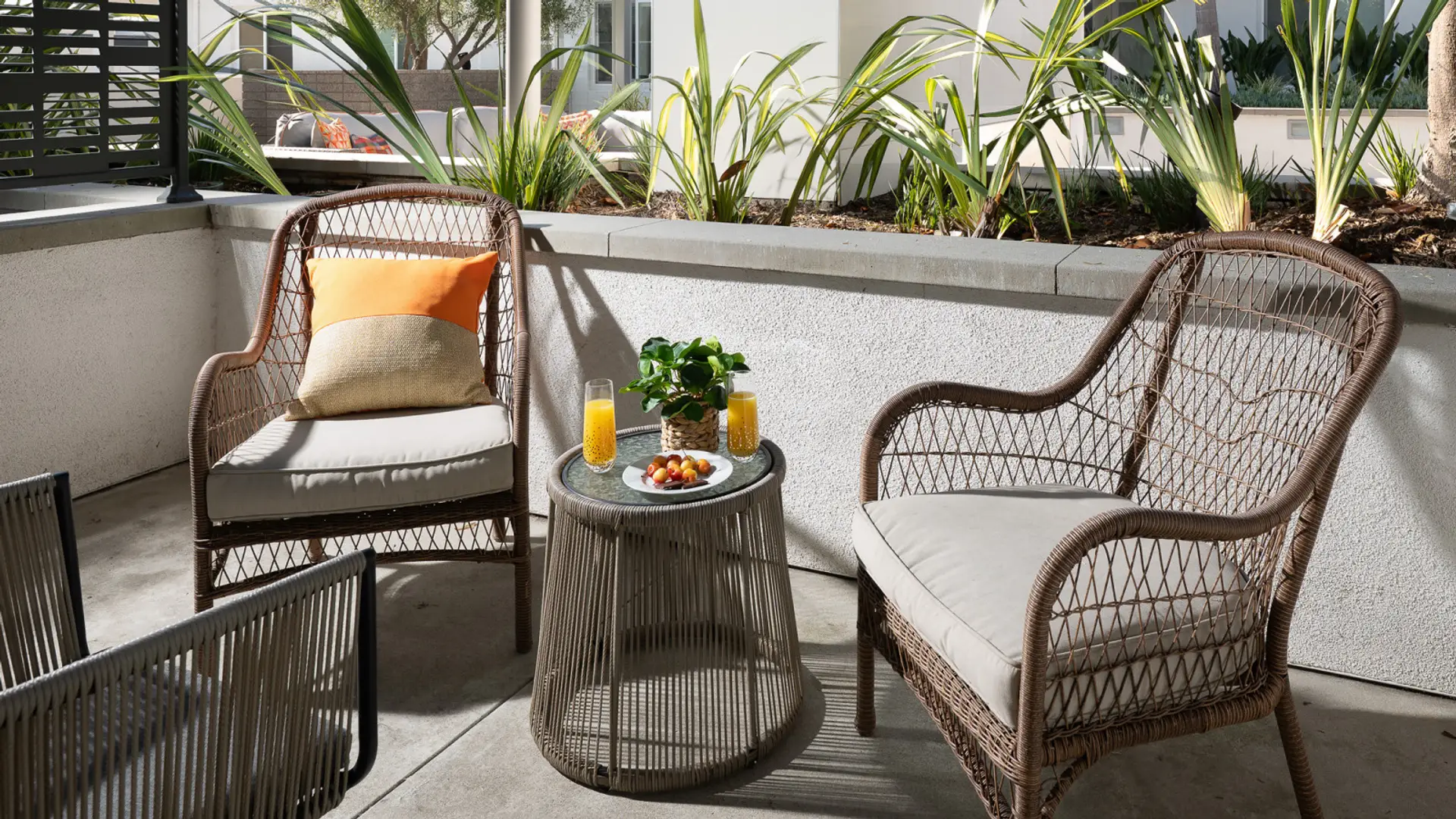 Morning sunshine and fresh juice on the terrace — the perfect start to the day 🍊☀️