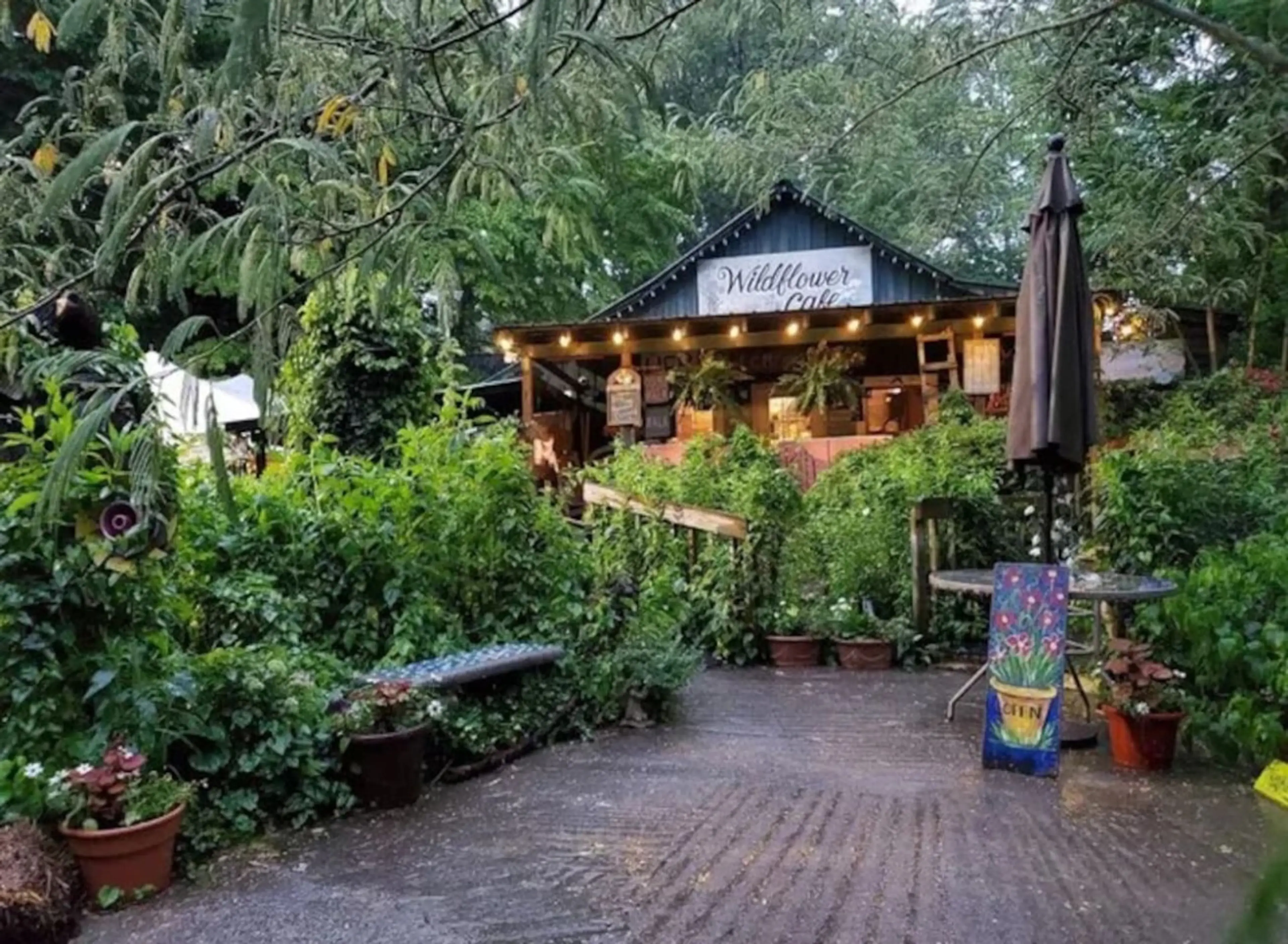 A quick 12 minute walk to Wildflower Café, where you can savor delicious bites in a welcoming, laid-back atmosphere.