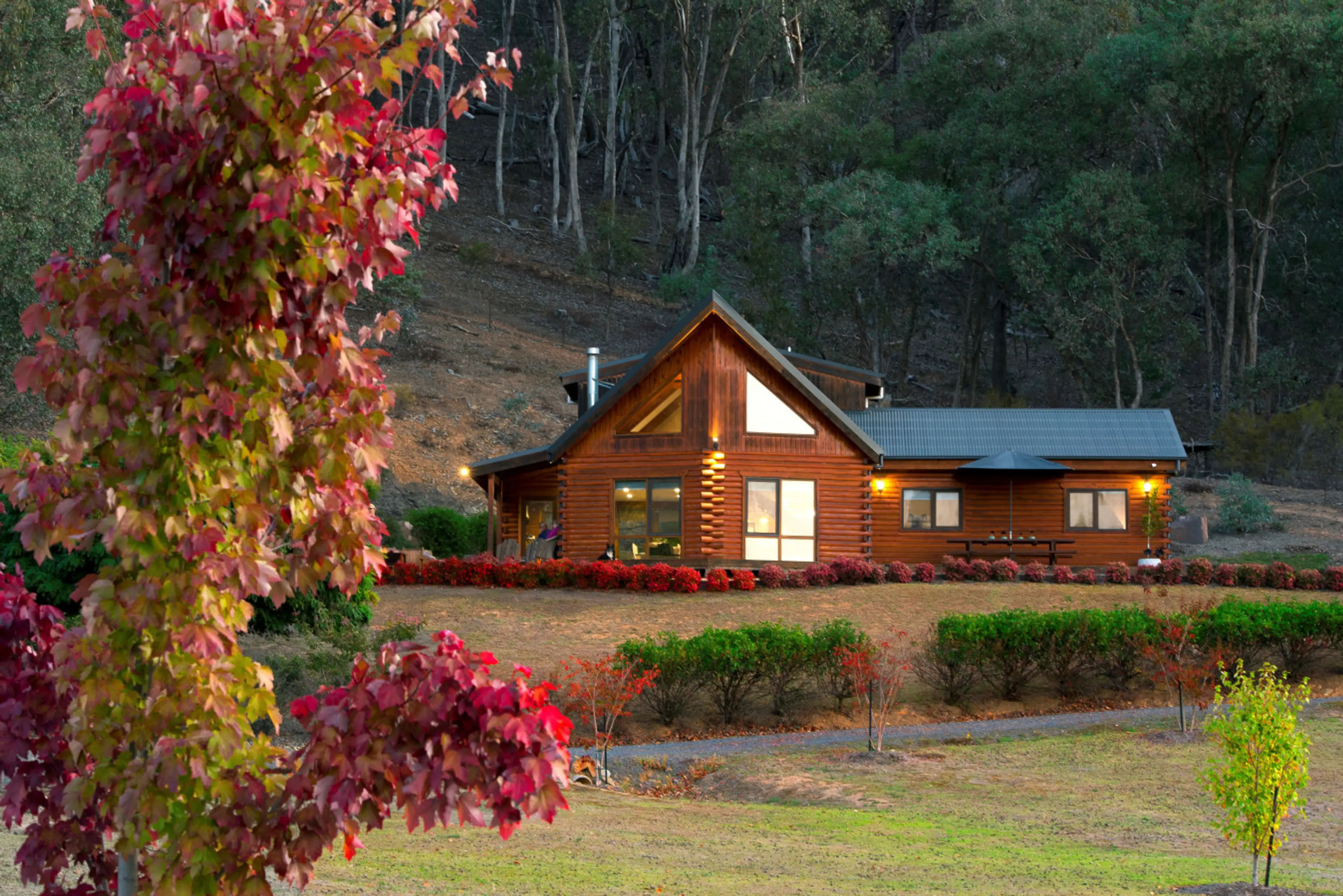 Appalachian styled log house surrounded by native bushland