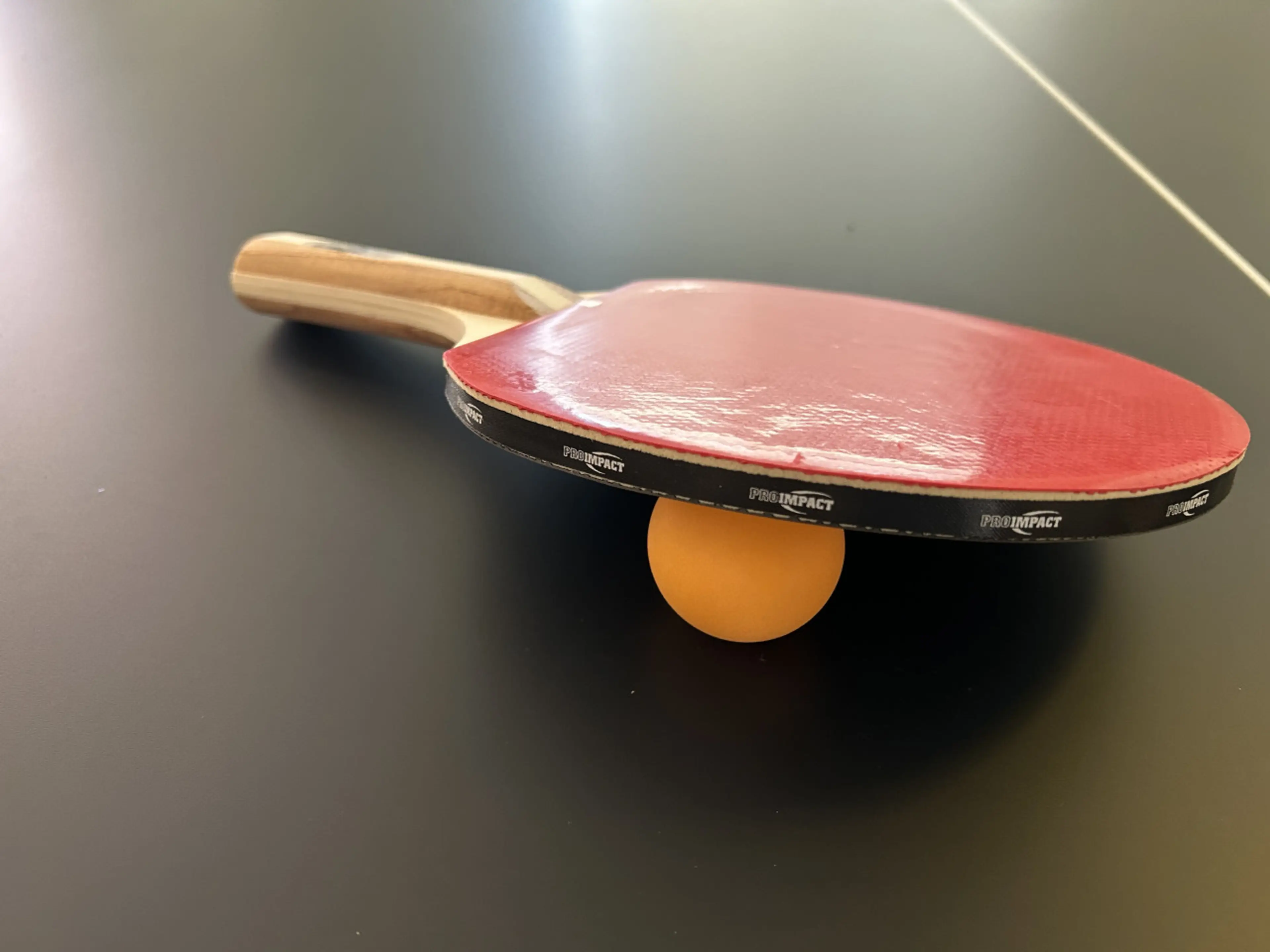 Ping pong anyone?