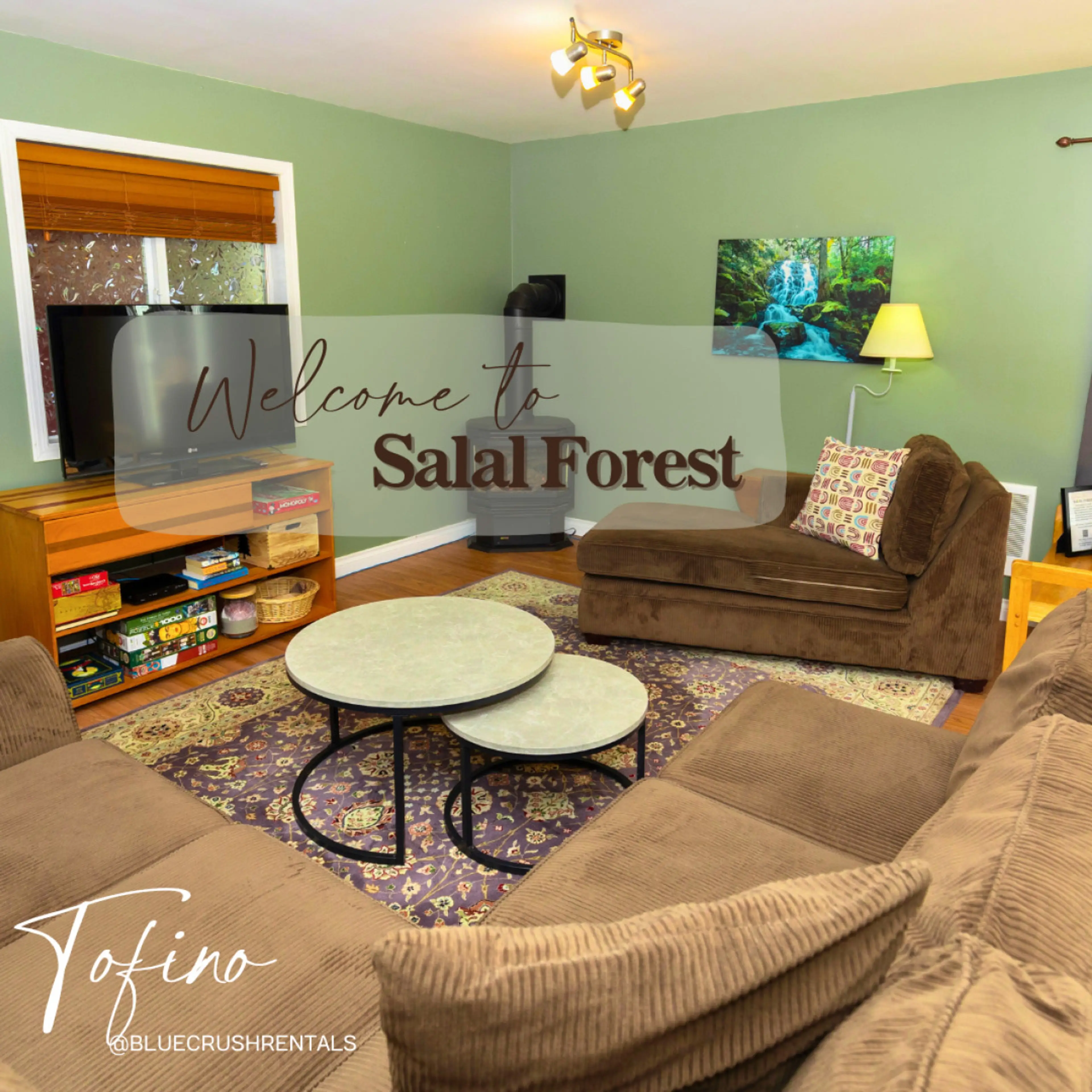 Welcome to Salal Forest!