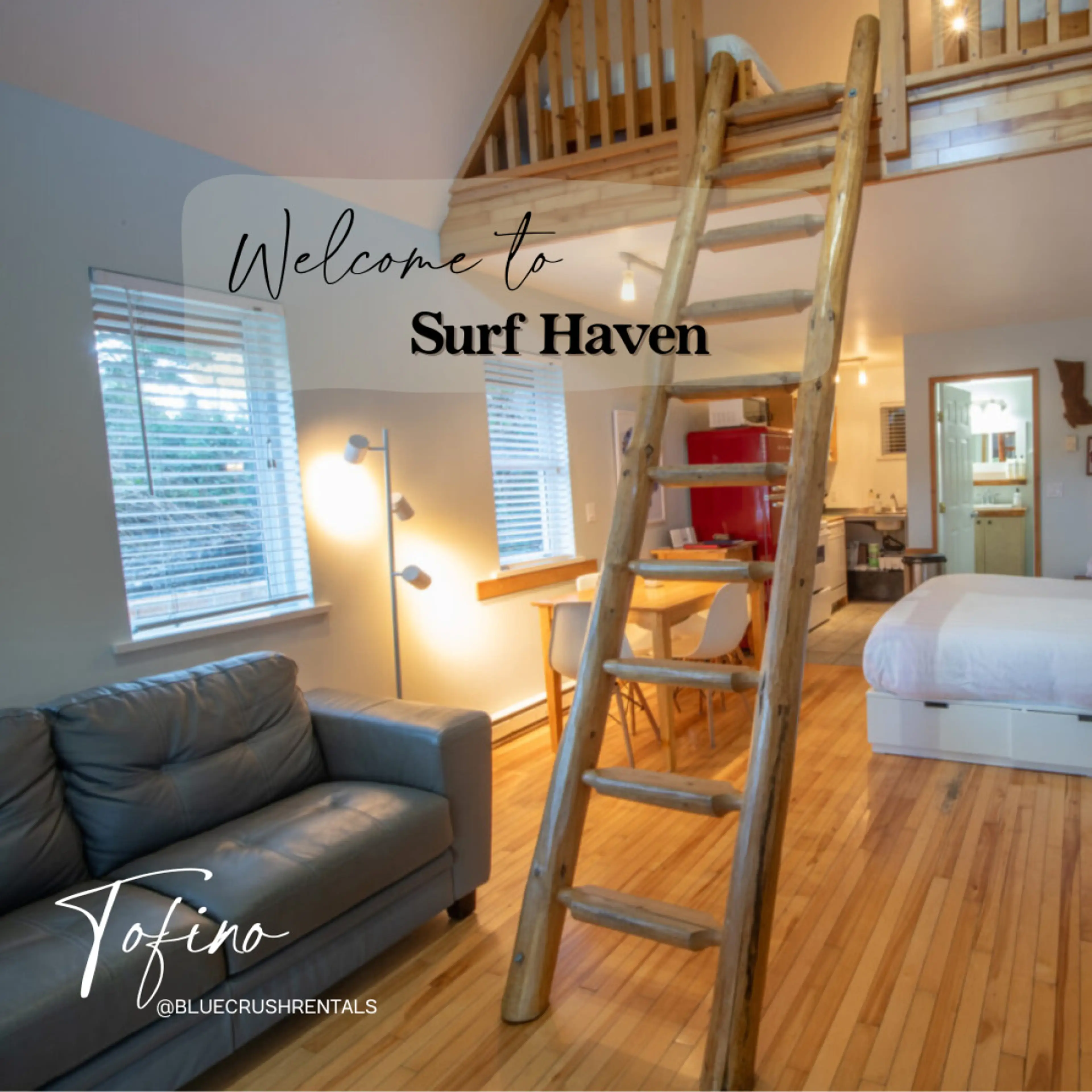 Welcome to Surf Haven!