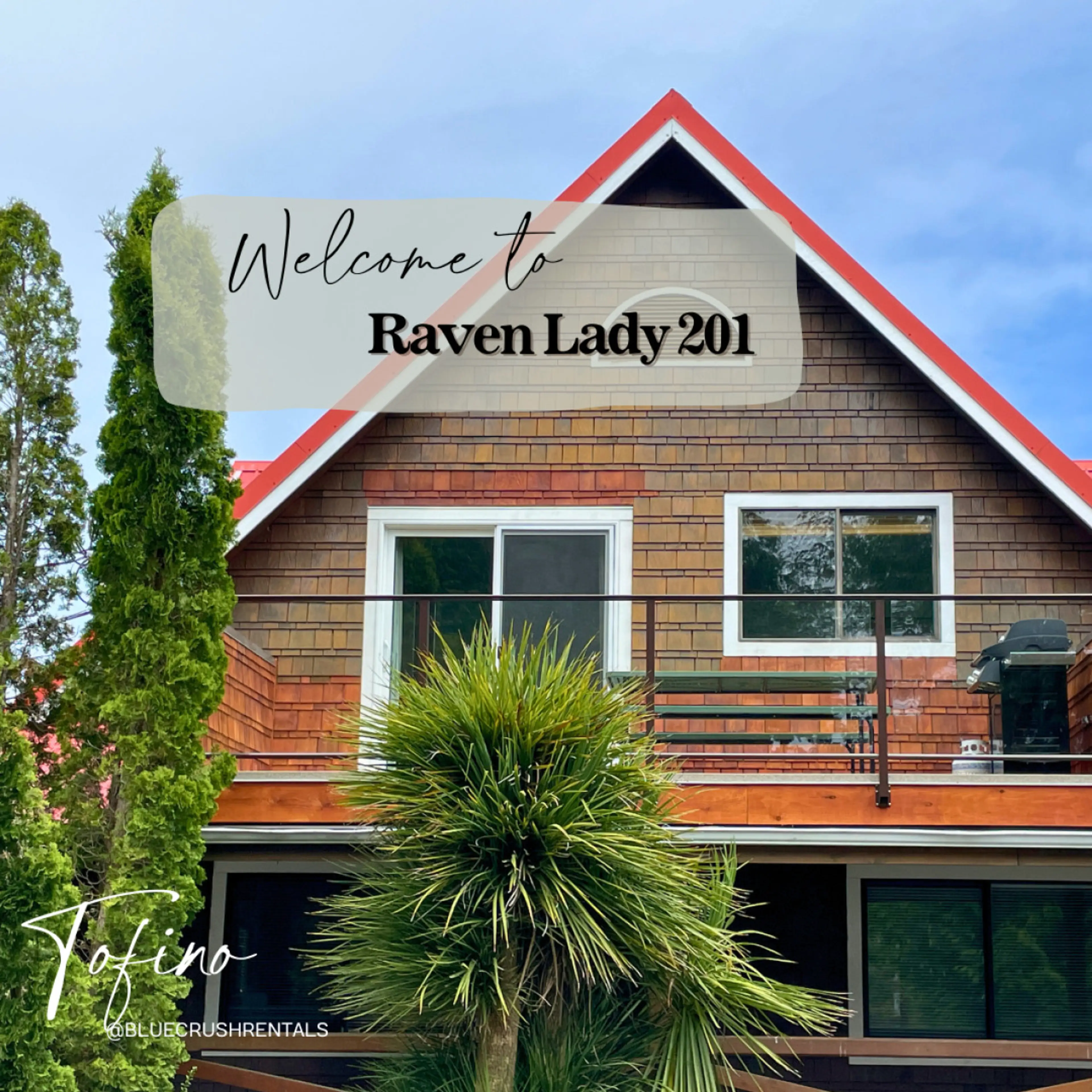 Welcome to Raven Lady 201