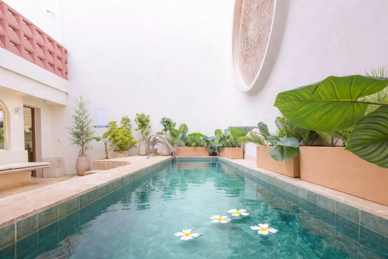 Casa Museo · Standar — Casa Museo, Laureles