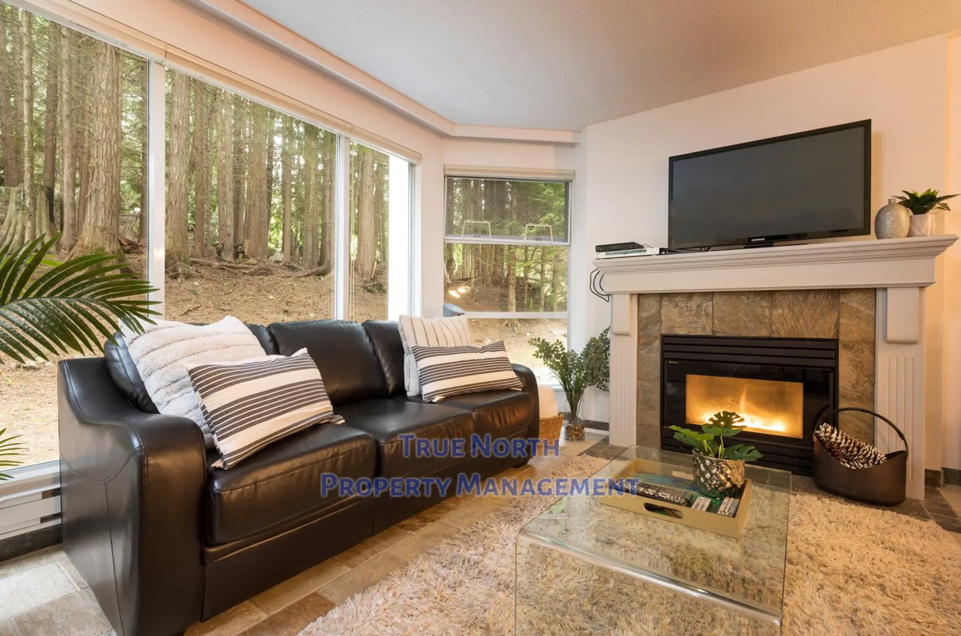WR212 Watermark use