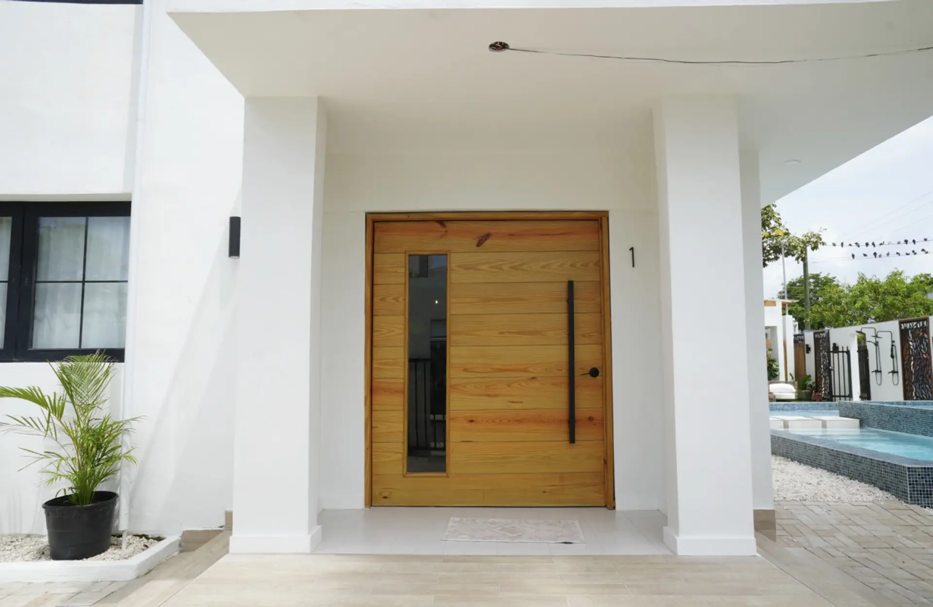 Entrance, main door
