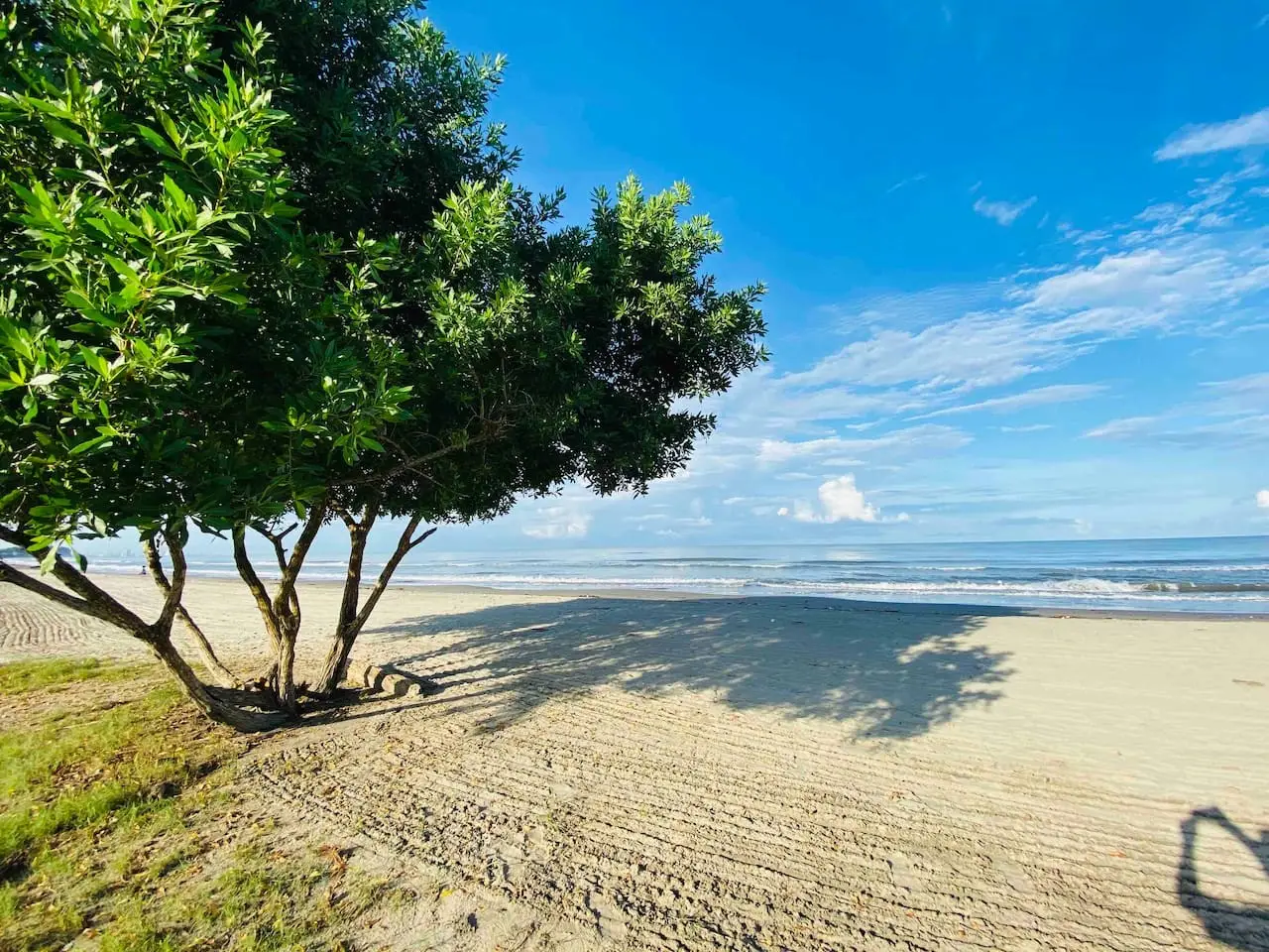 ★Condominio de Lujo★ Playa + Piscinas + Natural★ - Image 81