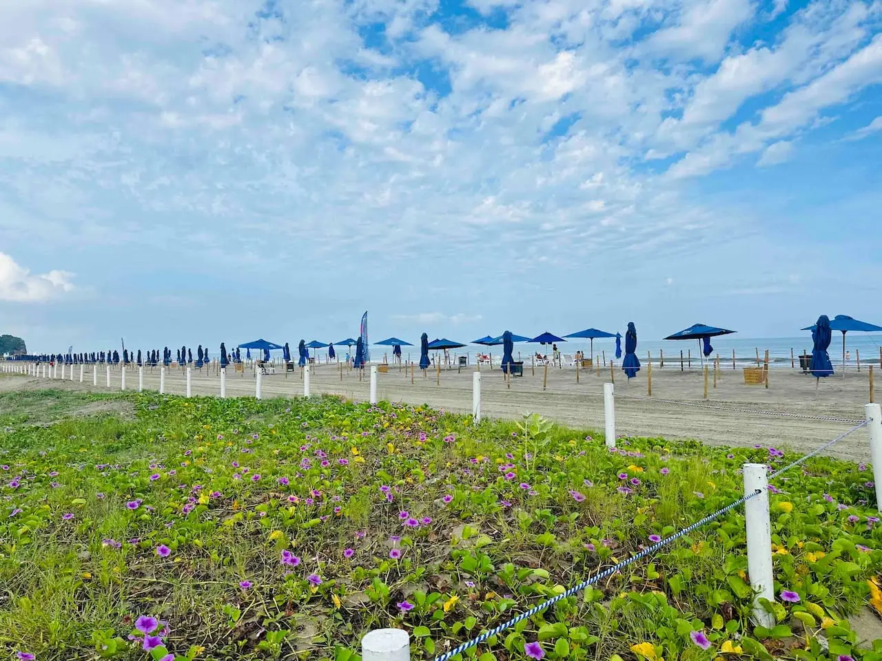 ★Condominio de Lujo★ Playa + Piscinas + Natural★ - Image 2