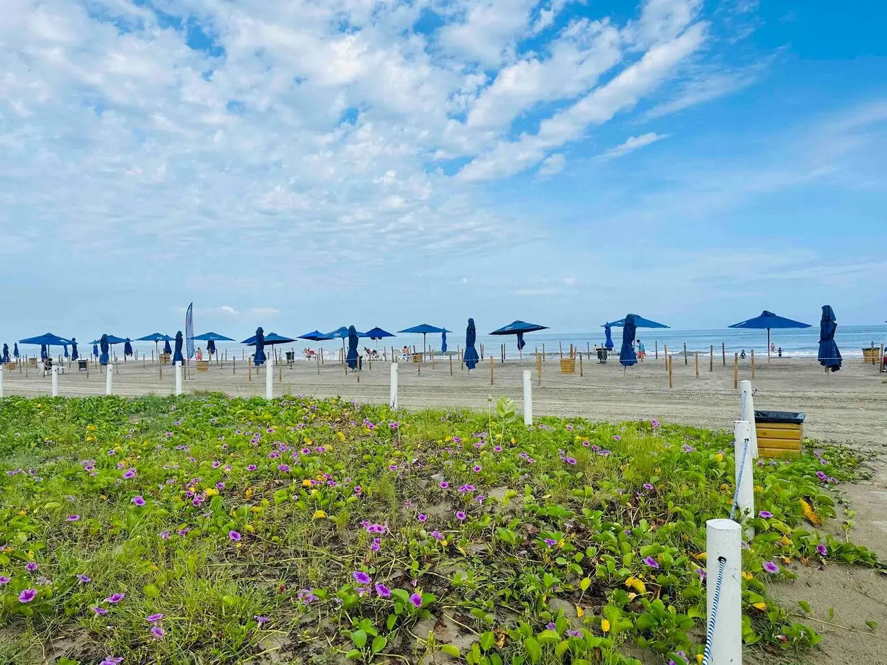 ✰ Beach Loft ✰ Condominio de lujo ✰ - Image 37