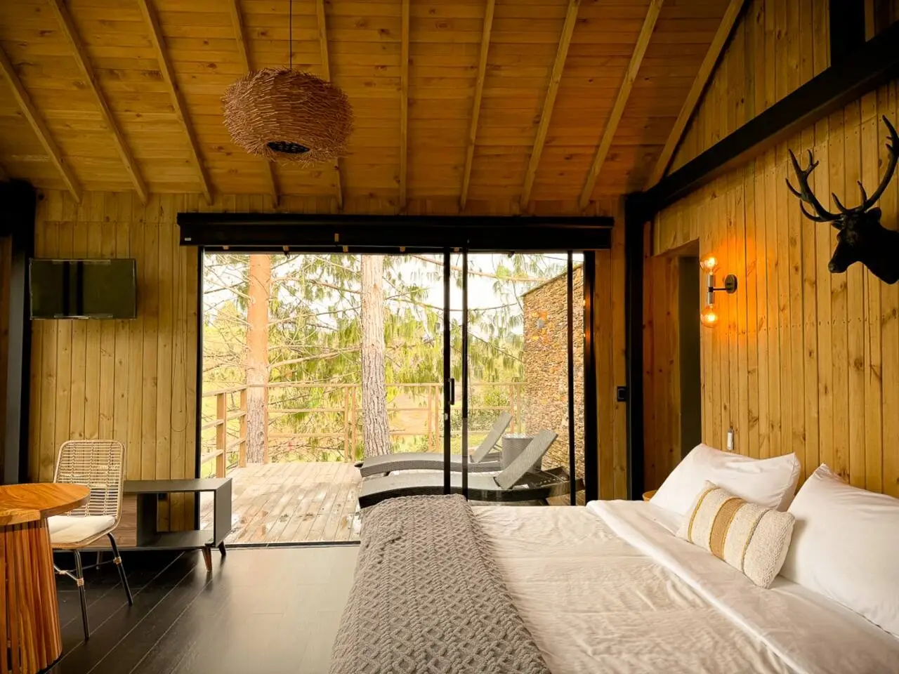 Cabin • Jacuzzi + Lake View + Forest - Image 24